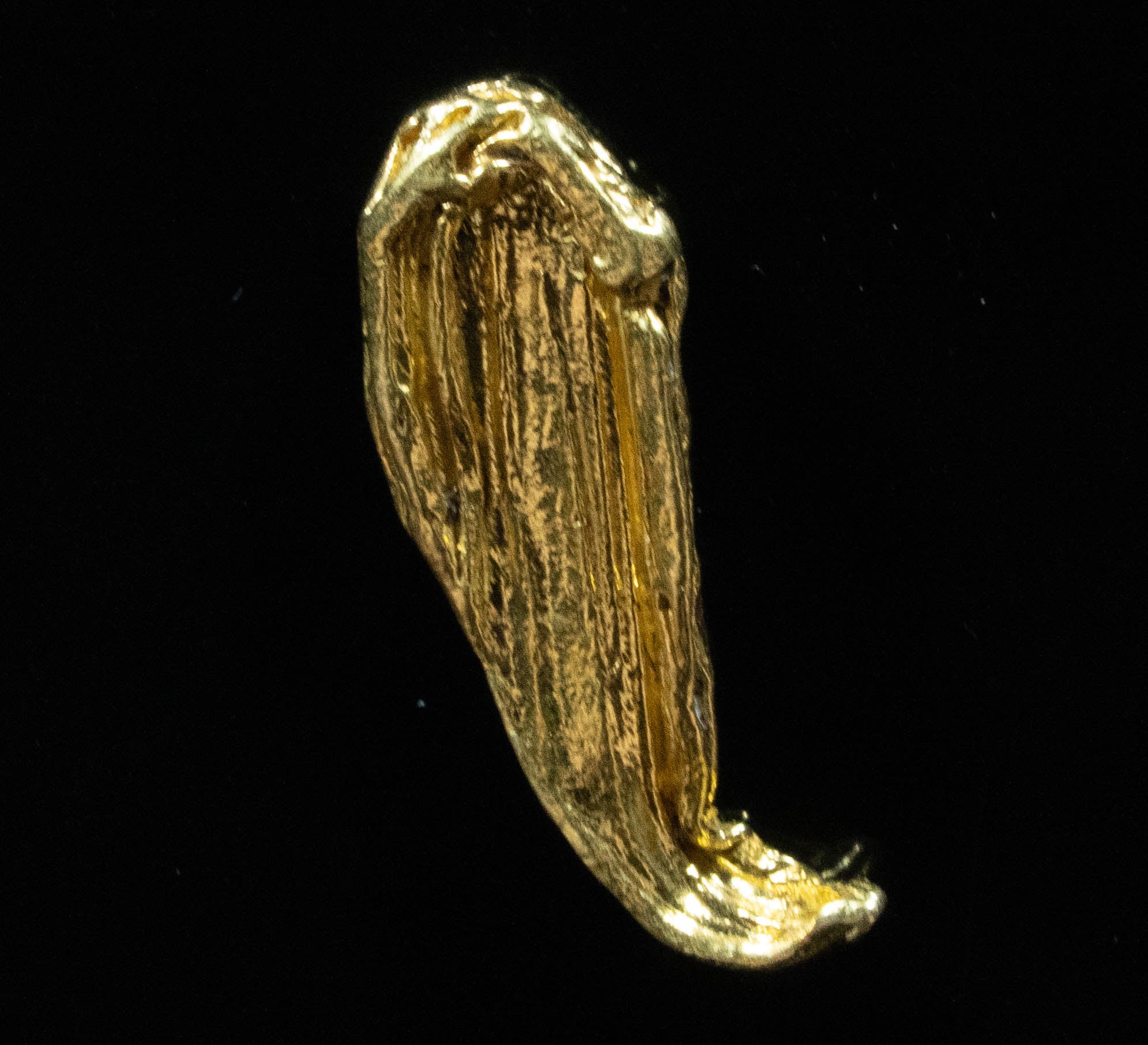 L-37 Exotic Dendritic Alaskan BC Natural Gold Nugget 1.02 Grams Genuine