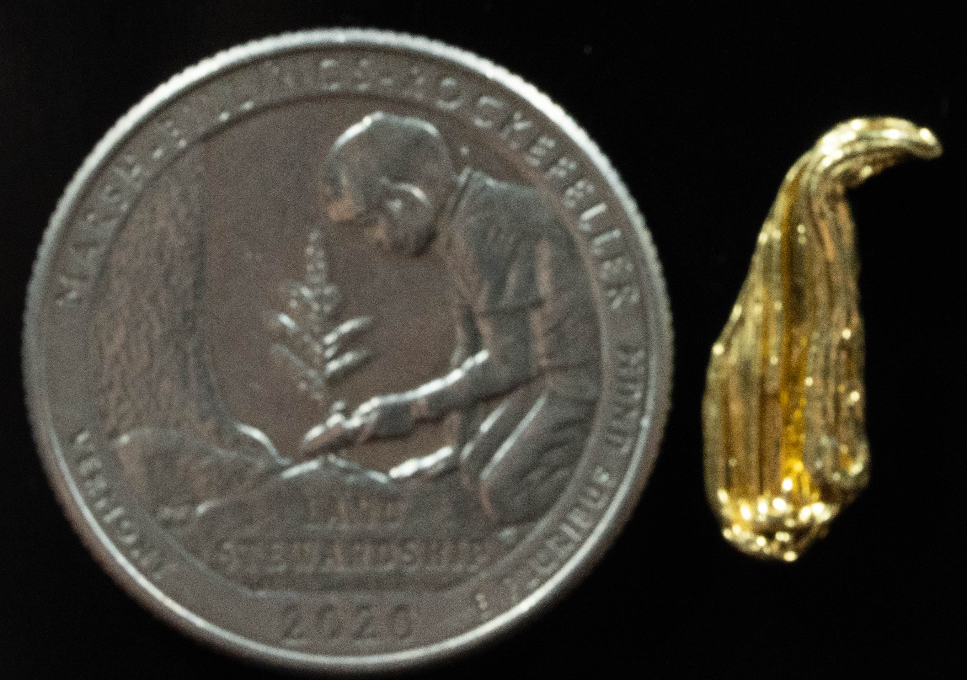 L-37 Exotic Dendritic Alaskan BC Natural Gold Nugget 1.02 Grams Genuine