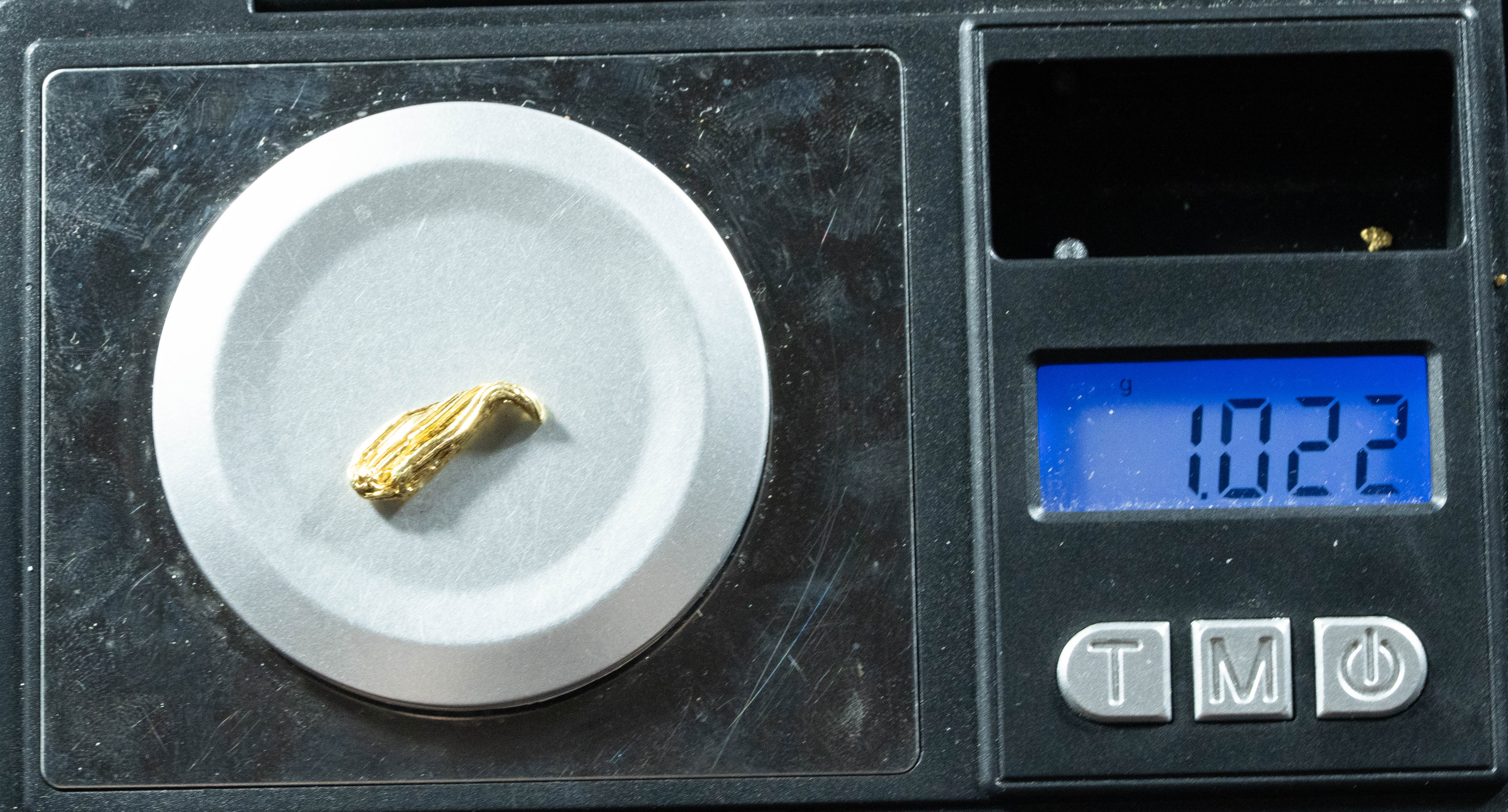 L-37 Exotic Dendritic Alaskan BC Natural Gold Nugget 1.02 Grams Genuine