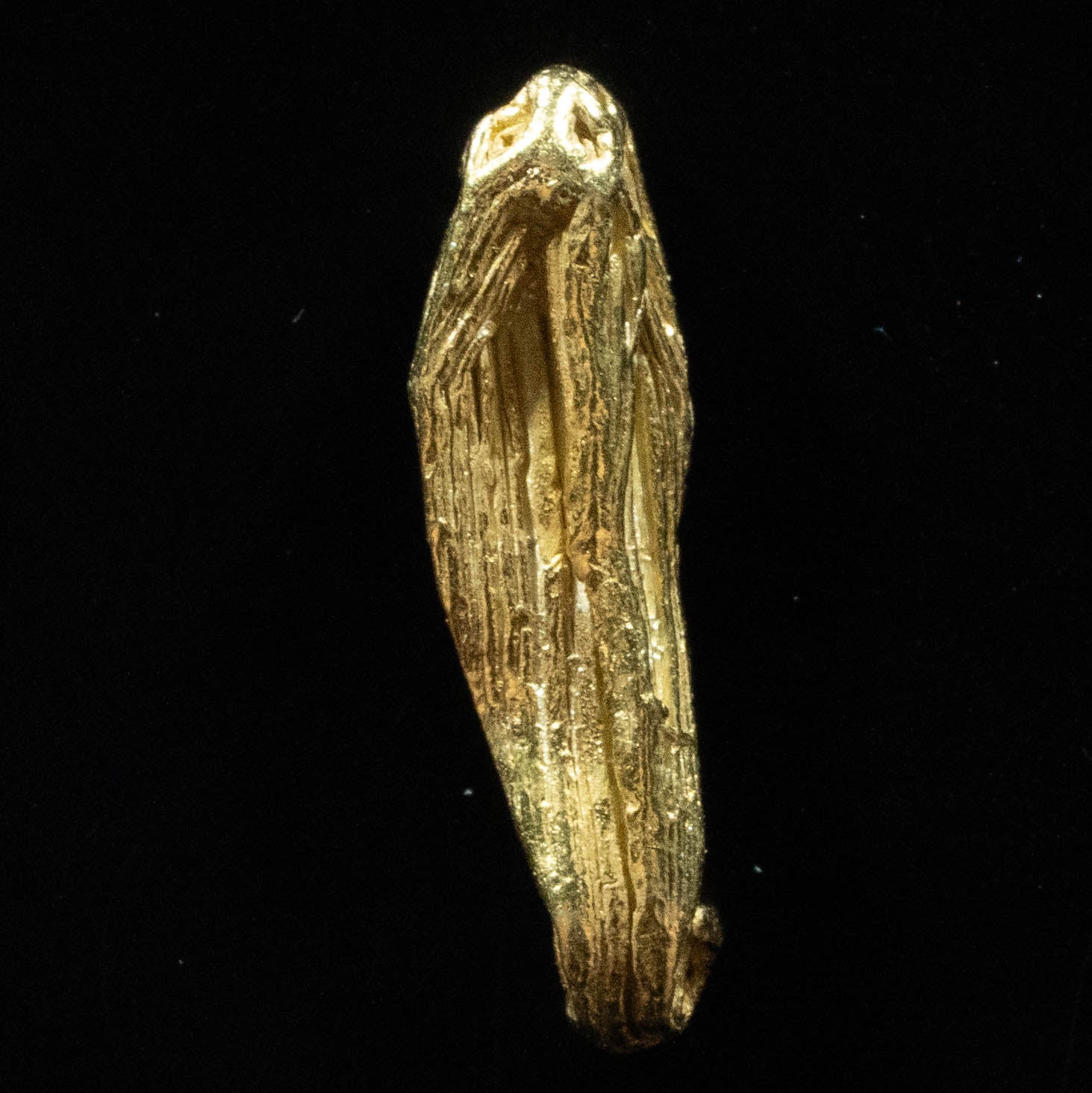 L-38 Exotic Dendritic Alaskan BC Natural Gold Nugget .734 Grams Genuine
