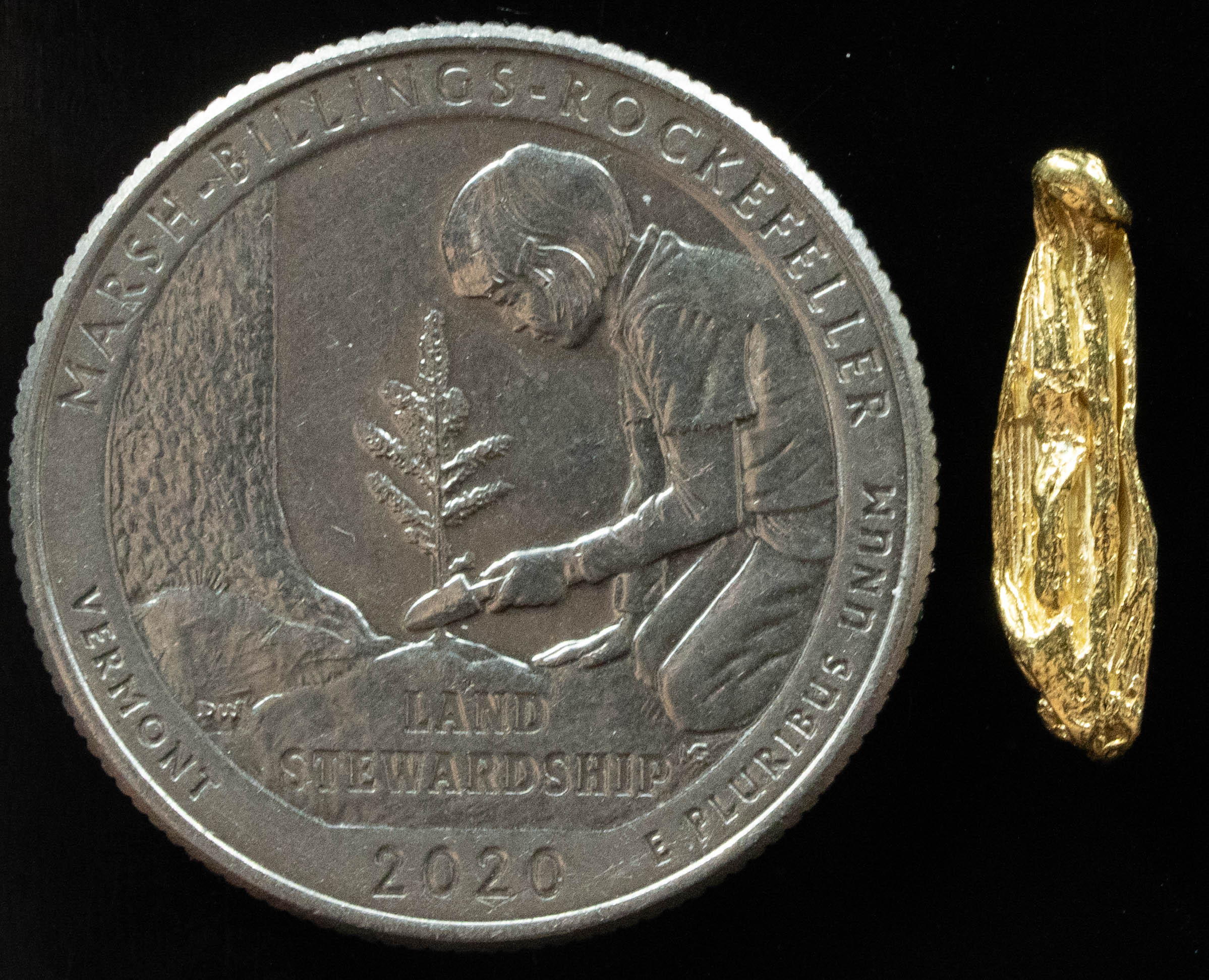 L-38 Exotic Dendritic Alaskan BC Natural Gold Nugget .734 Grams Genuine