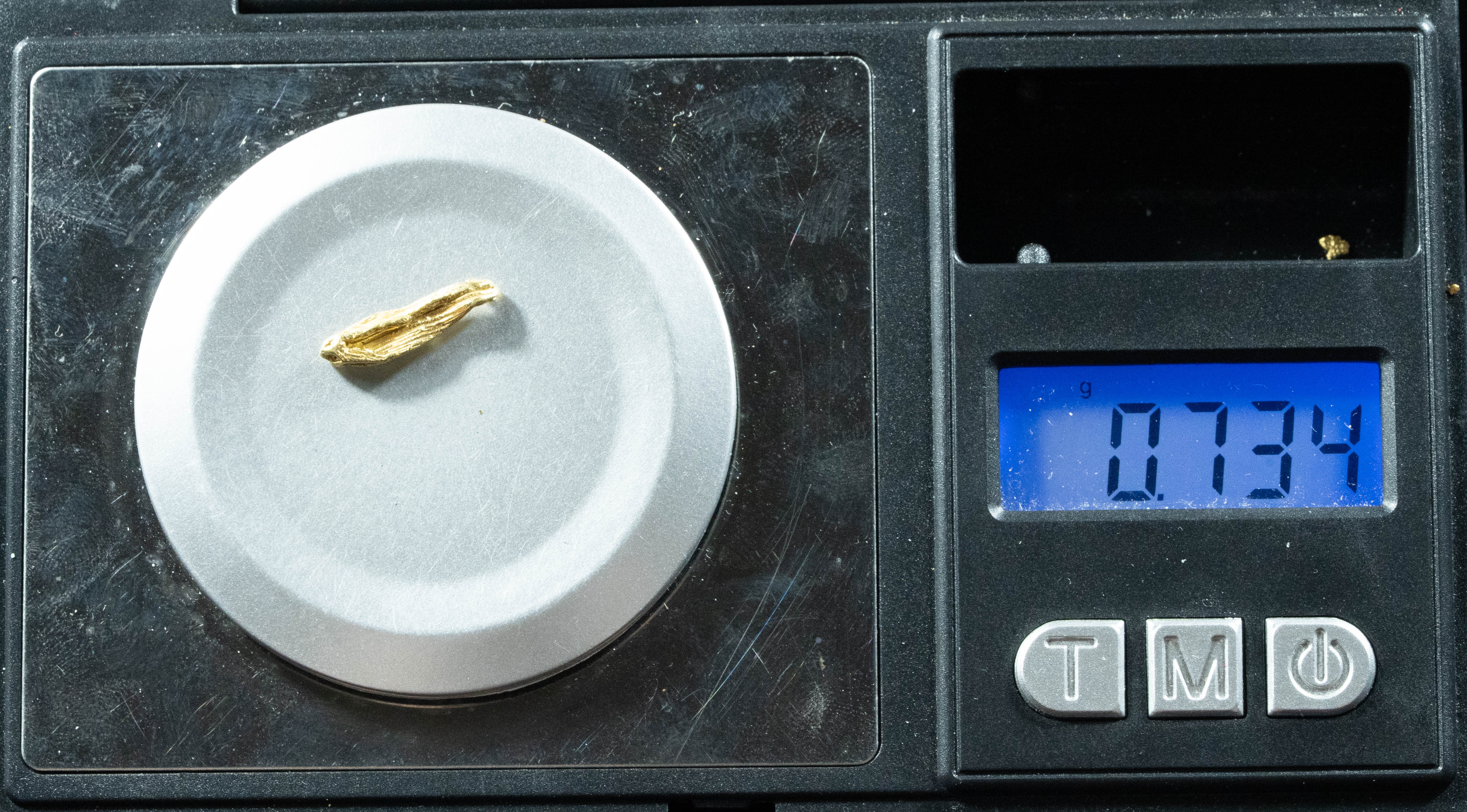 L-38 Exotic Dendritic Alaskan BC Natural Gold Nugget .734 Grams Genuine
