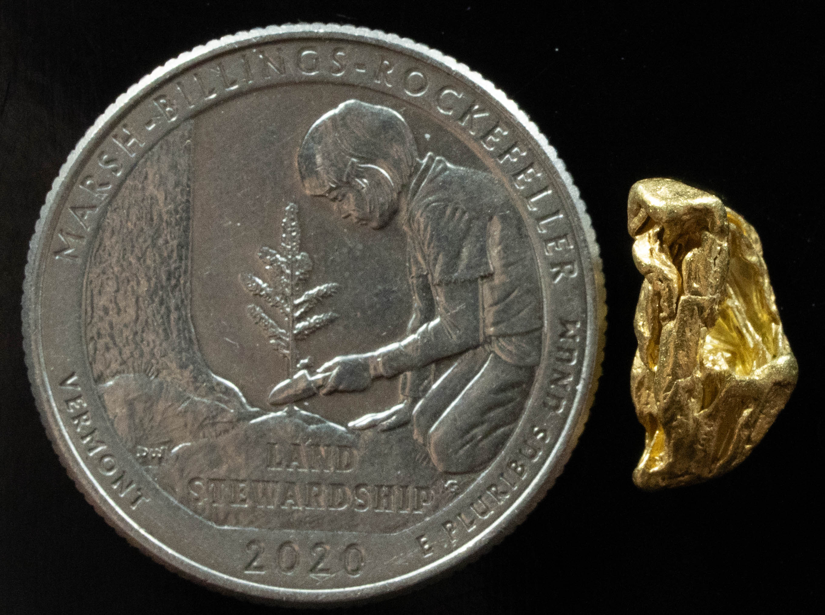 L-39 Exotic Dendritic Alaskan BC Natural Gold Nugget 1.84 Grams Genuine