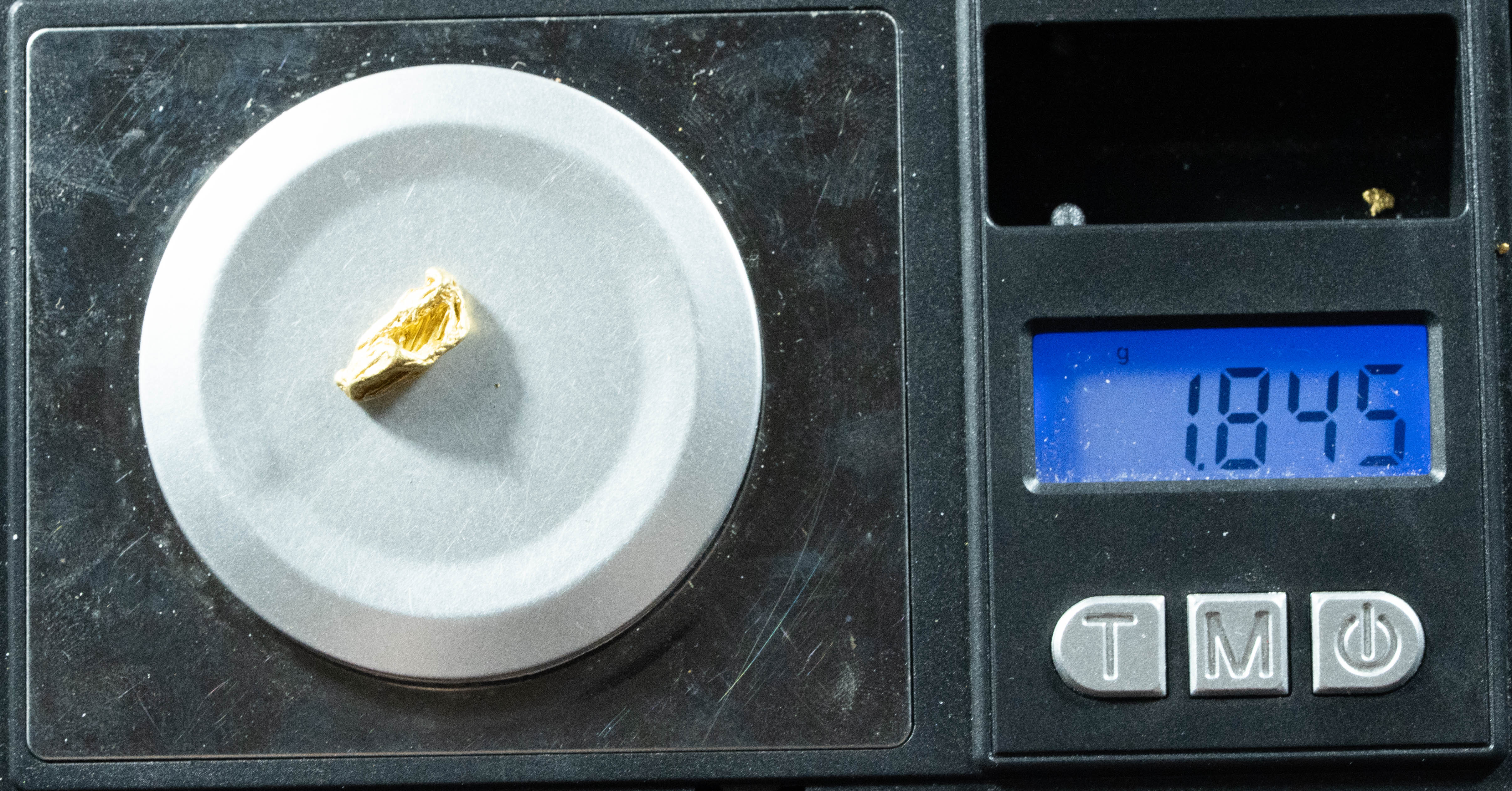 L-39 Exotic Dendritic Alaskan BC Natural Gold Nugget 1.84 Grams Genuine