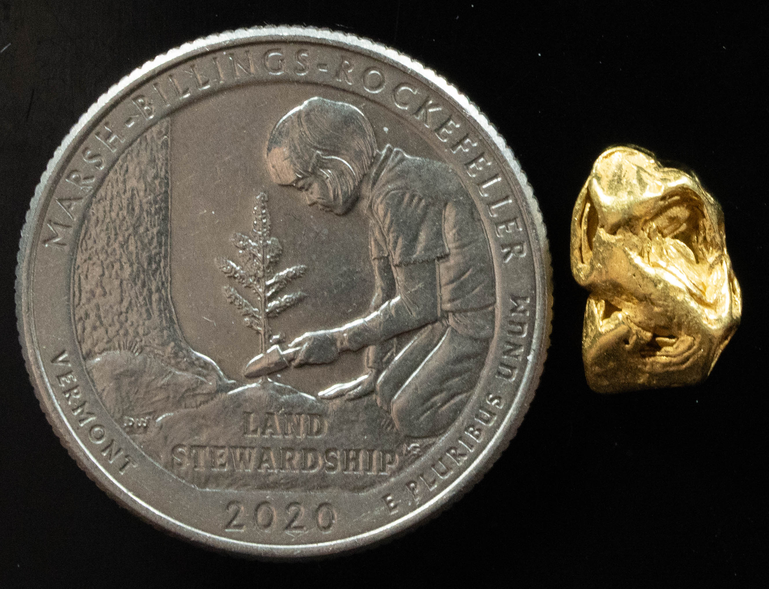 L-40 Exotic Dendritic Alaskan BC Natural Gold Nugget 1.52 Grams Genuine