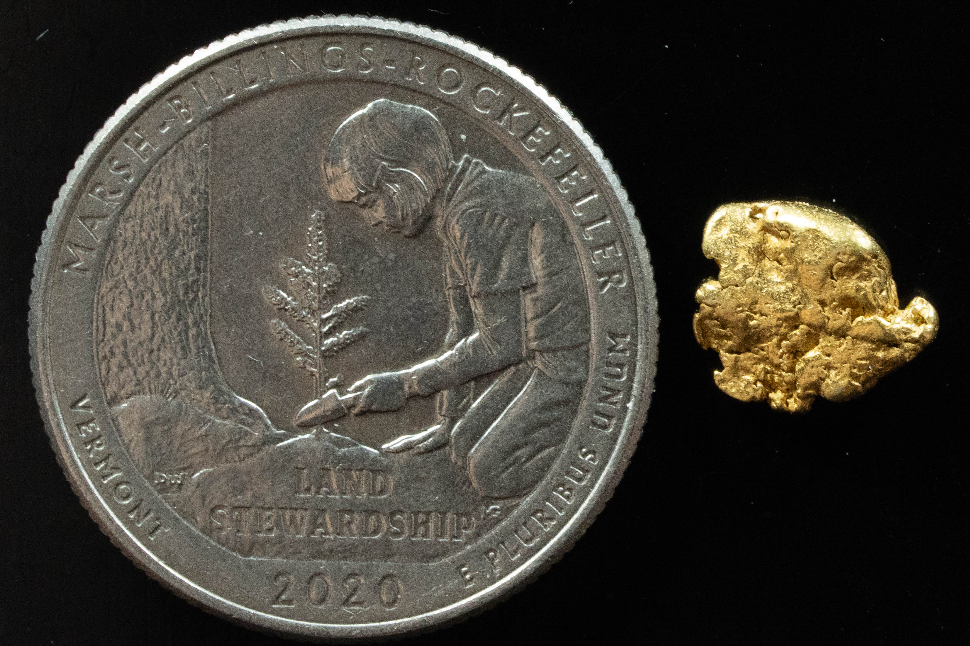 L-41 Exotic Dendritic Alaskan BC Natural Gold Nugget .945 Grams Genuine