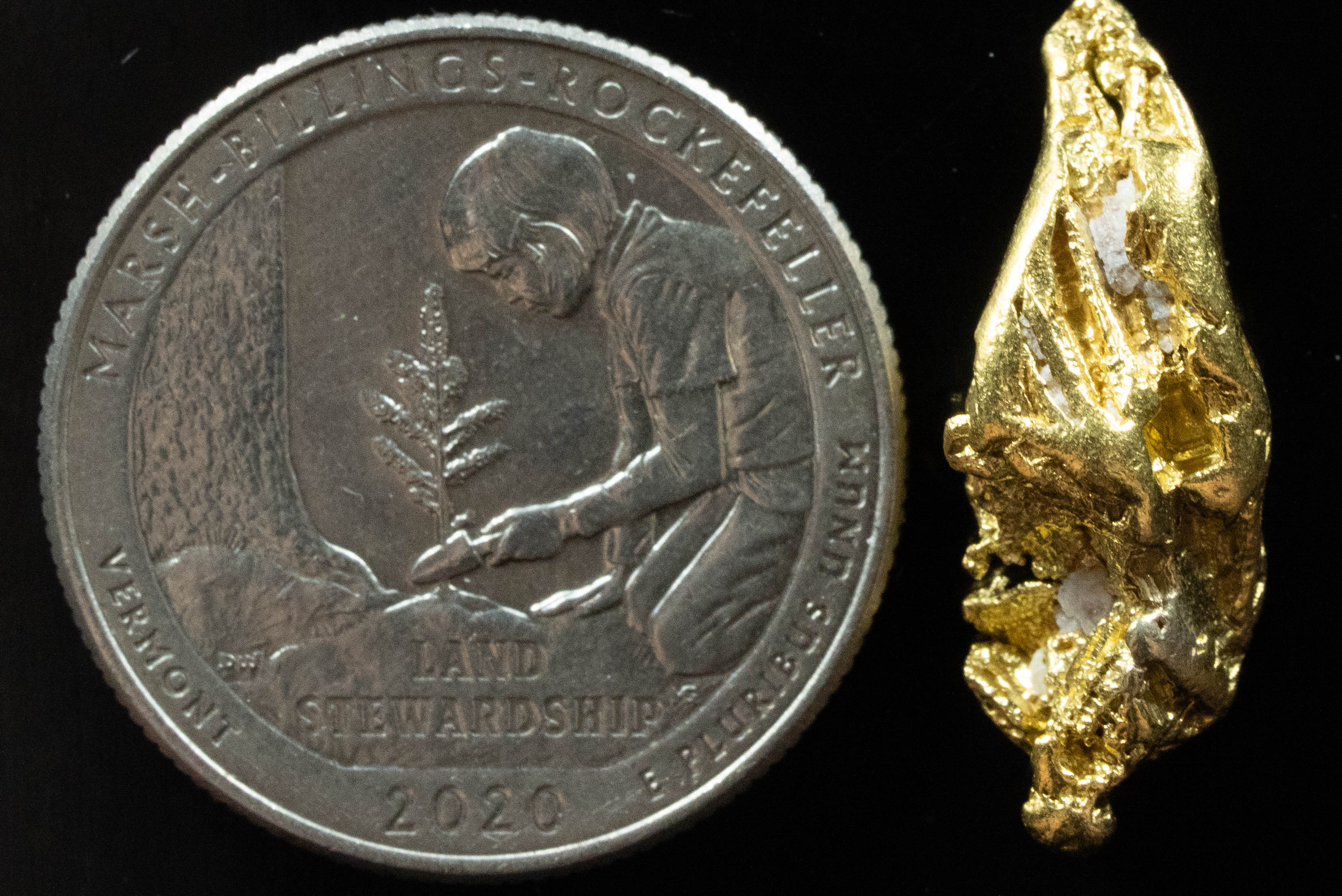 L-42 Exotic Dendritic Alaskan BC Natural Gold Nugget 6.64 Grams Genuine