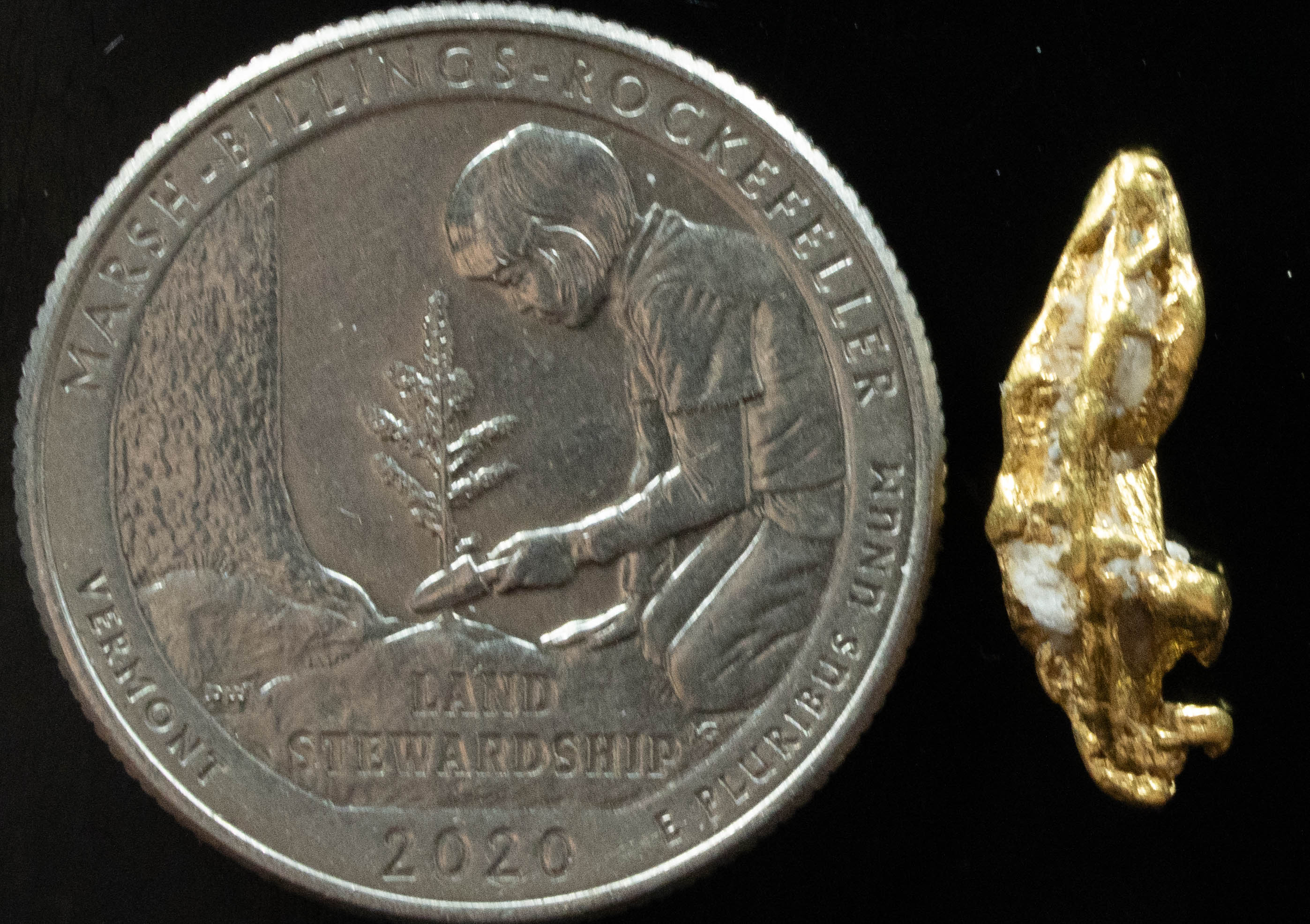L-43 Exotic Dendritic Alaskan BC Natural Gold Nugget 1.65 Grams Genuine