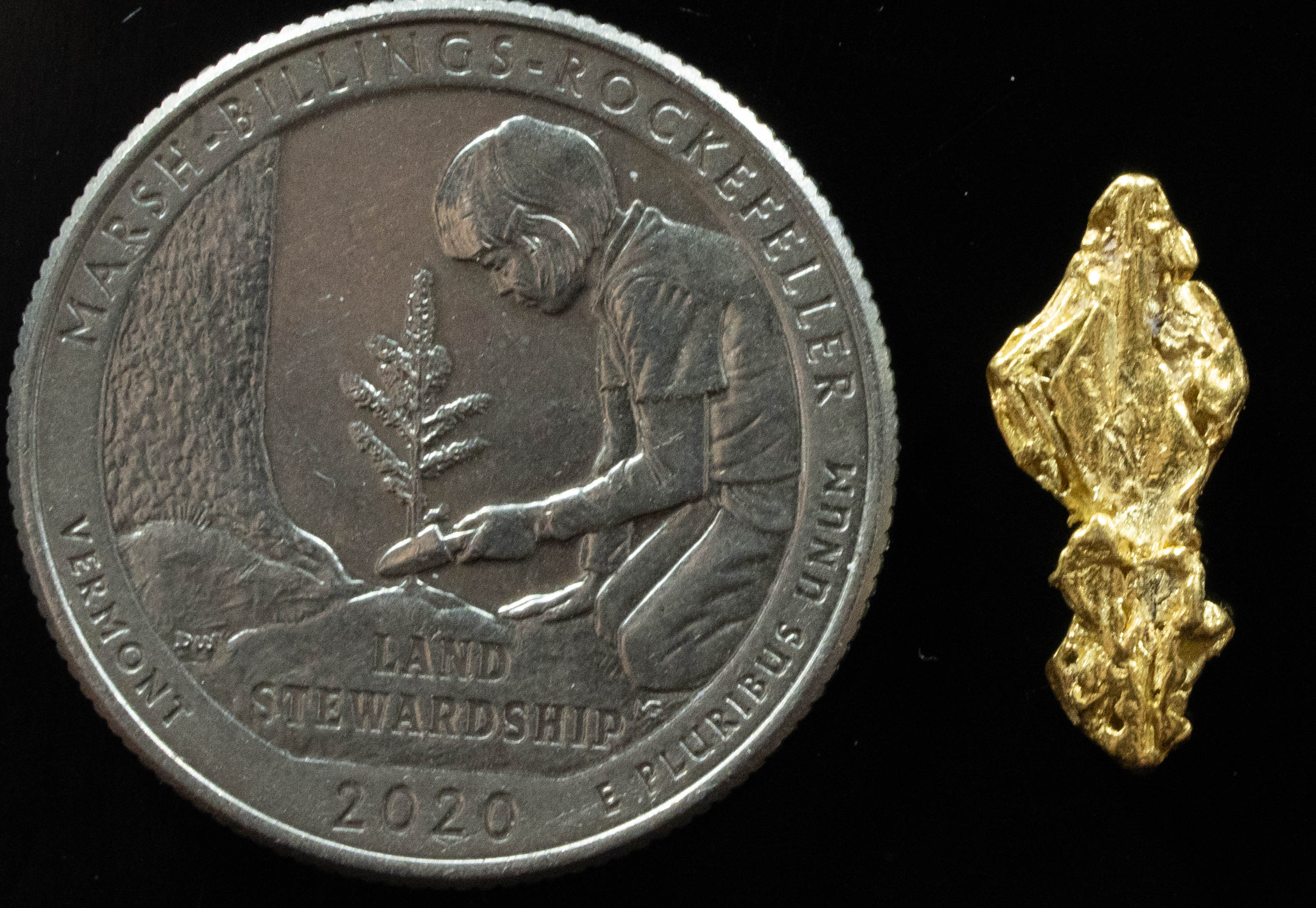 L-44 Exotic Dendritic Alaskan BC Natural Gold Nugget .983 Grams Genuine