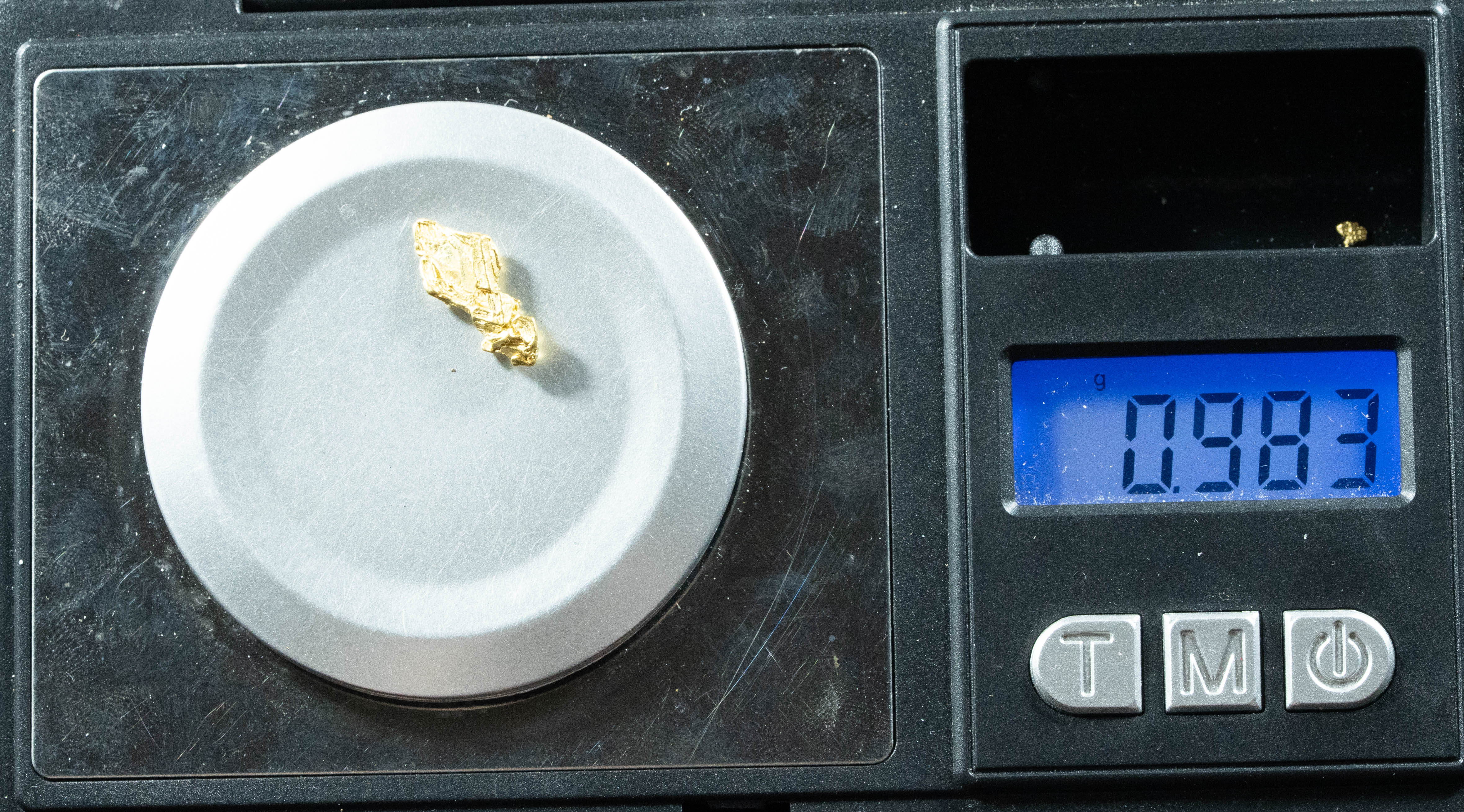 L-44 Exotic Dendritic Alaskan BC Natural Gold Nugget .983 Grams Genuine