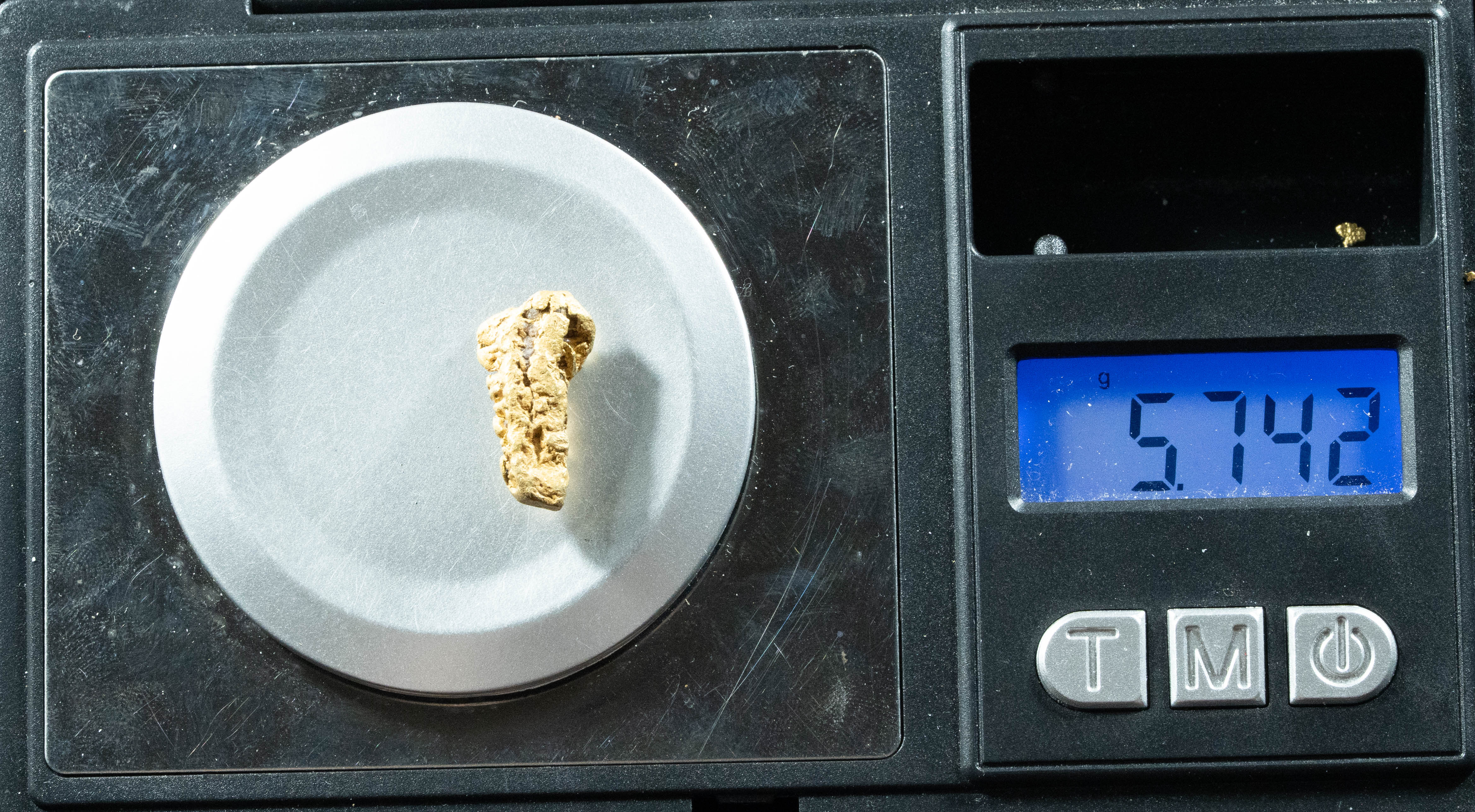 L-46 Exotic Dendritic Alaskan BC Natural Gold Nugget 5.74 Grams Genuine