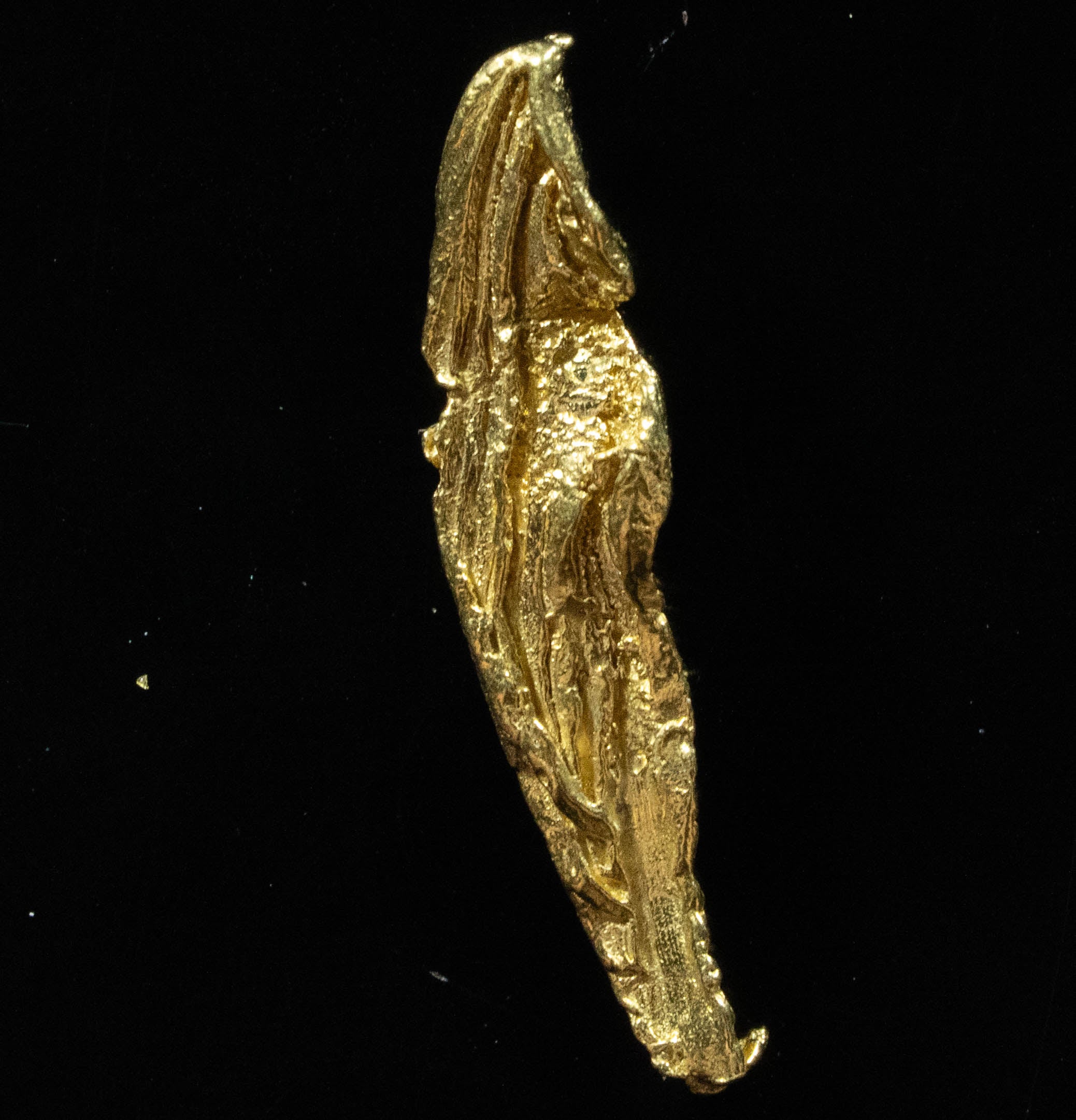 L-48 Exotic Dendritic Alaskan BC Natural Gold Nugget 1.50 Grams Genuine