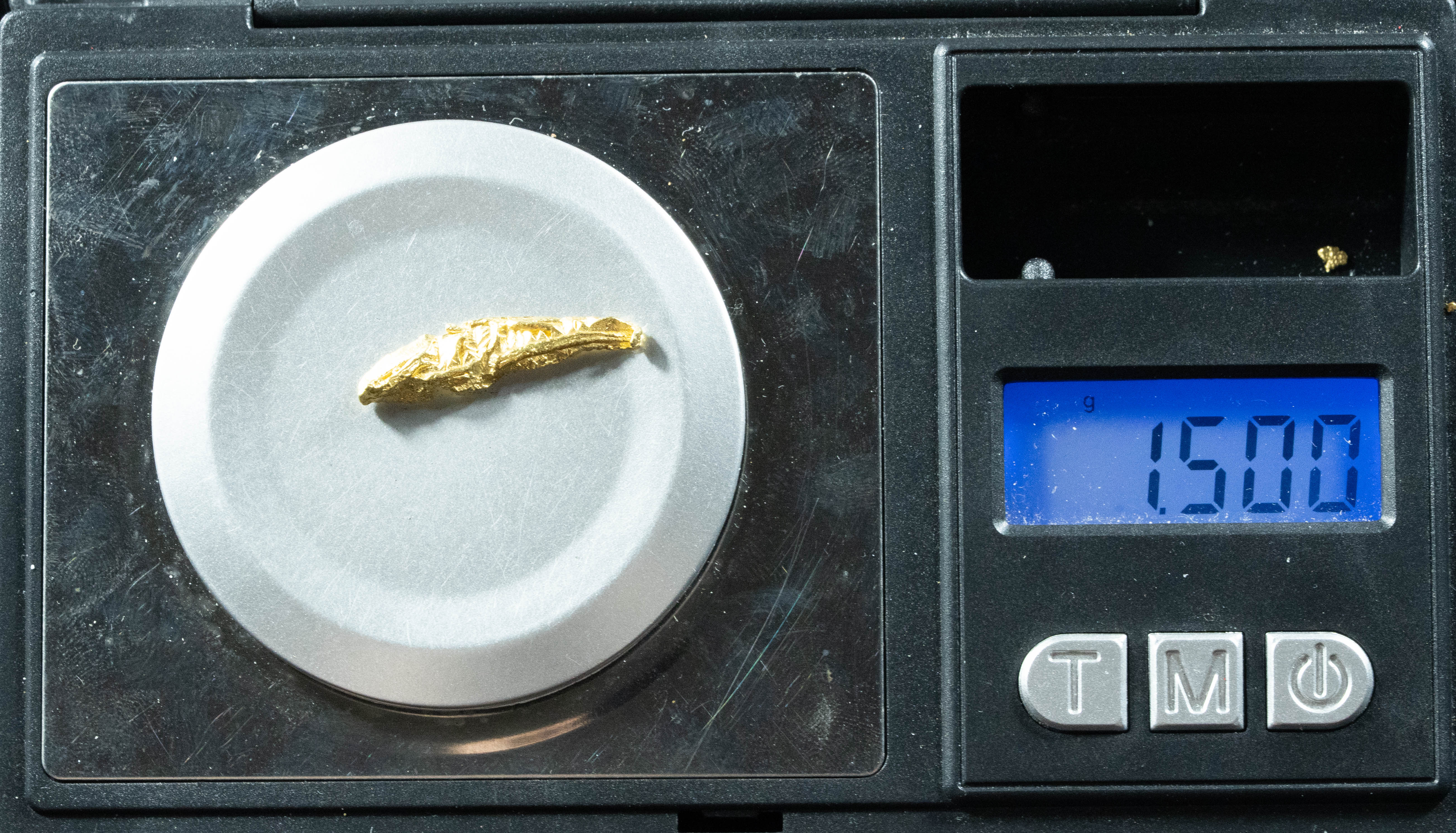 L-48 Exotic Dendritic Alaskan BC Natural Gold Nugget 1.50 Grams Genuine