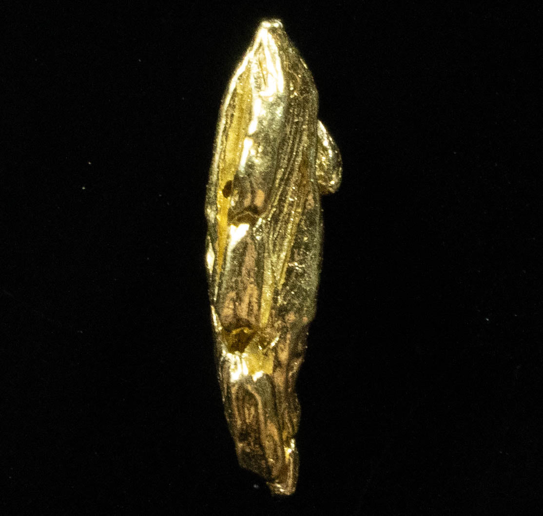 L-49 Exotic Dendritic Alaskan BC Natural Gold Nugget .489 Grams Genuine