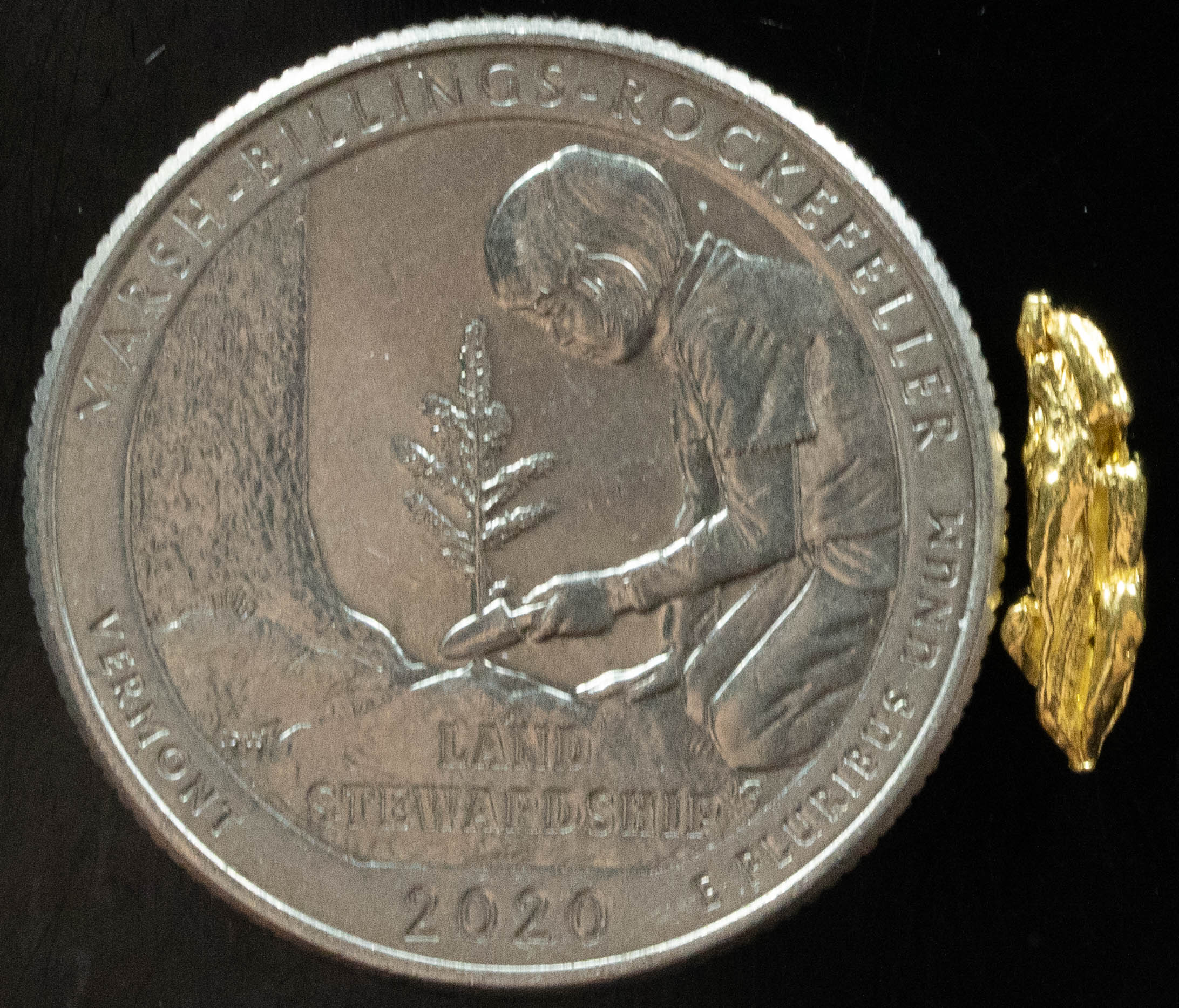 L-49 Exotic Dendritic Alaskan BC Natural Gold Nugget .489 Grams Genuine