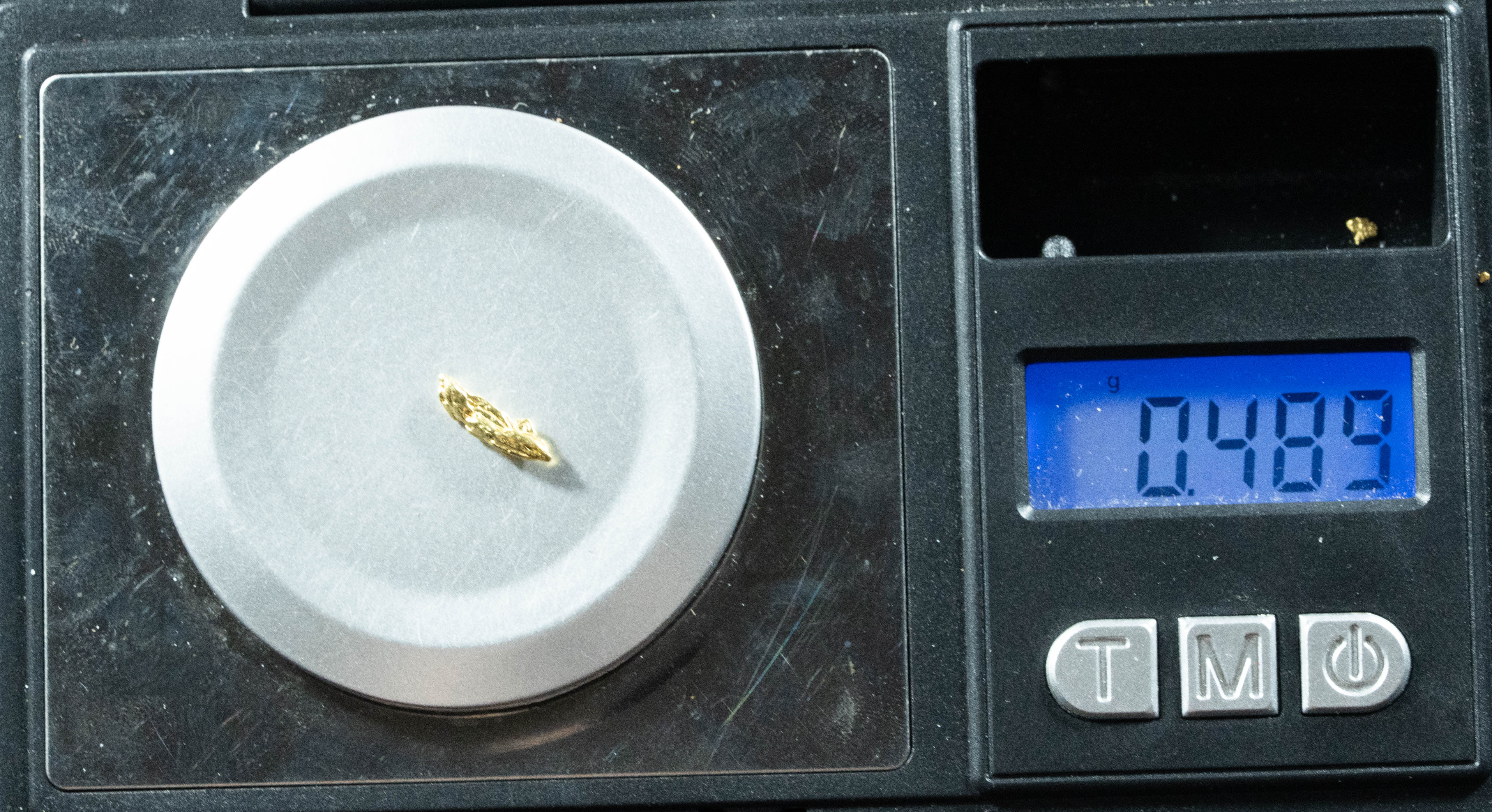 L-49 Exotic Dendritic Alaskan BC Natural Gold Nugget .489 Grams Genuine