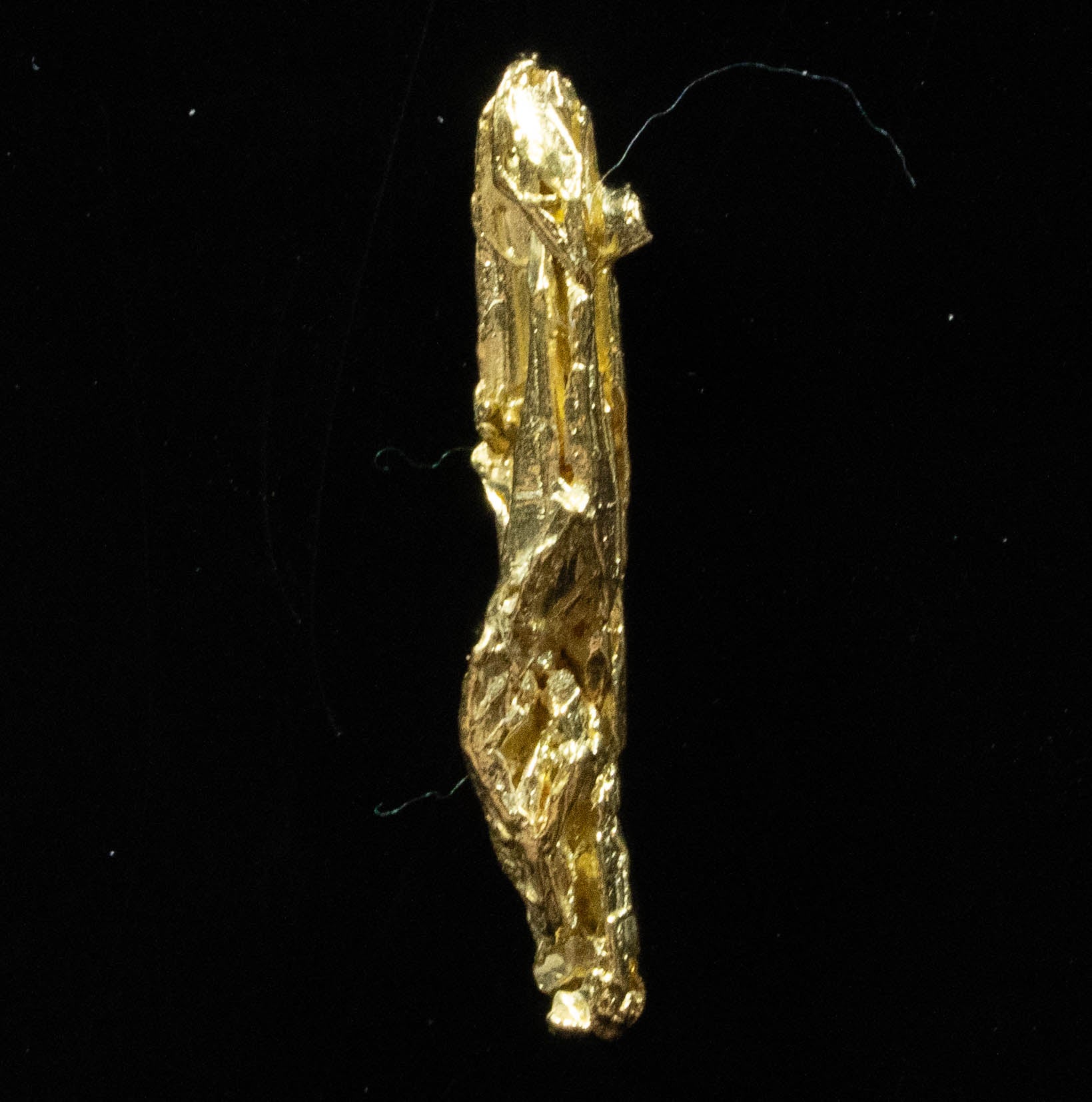 L-50 Exotic Dendritic Alaskan BC Natural Gold Nugget .896 Grams Genuine
