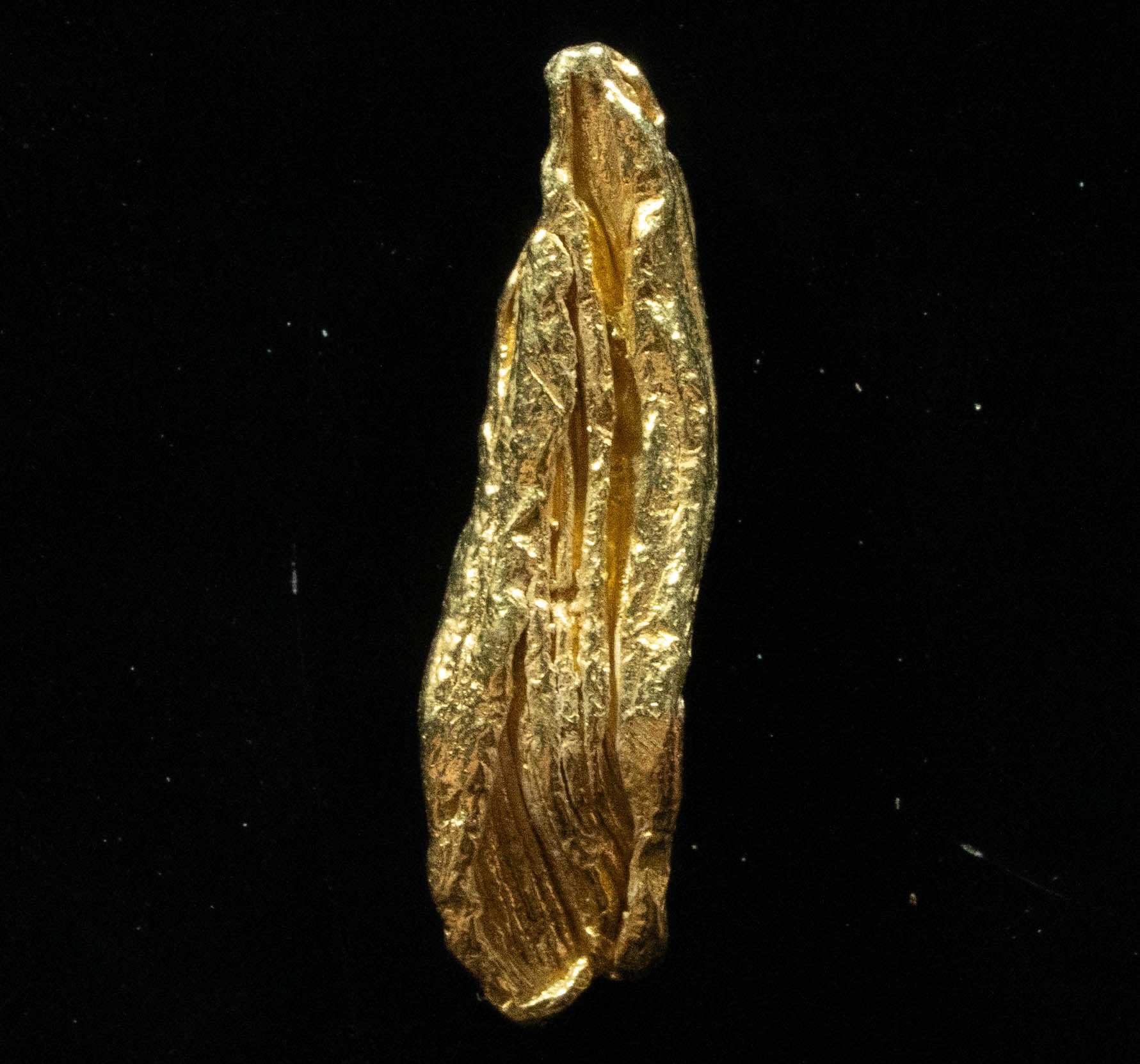 L-51 Exotic Dendritic Alaskan BC Natural Gold Nugget 1.43 Grams Genuine