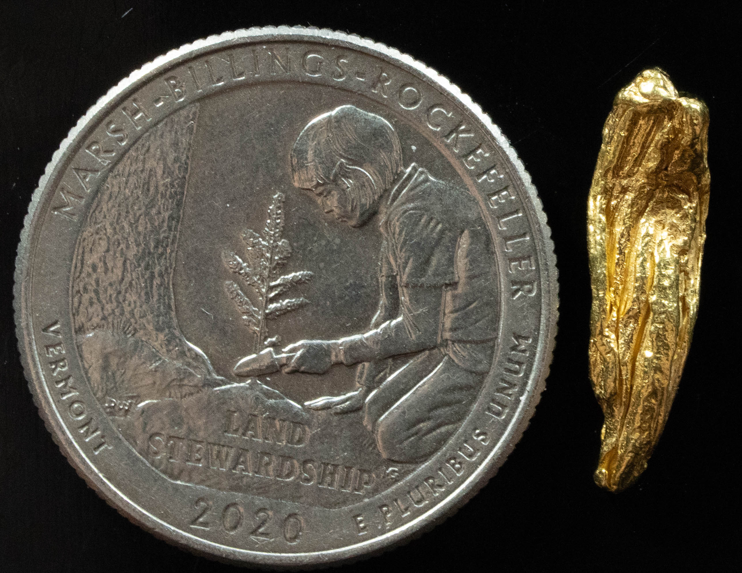 L-51 Exotic Dendritic Alaskan BC Natural Gold Nugget 1.43 Grams Genuine