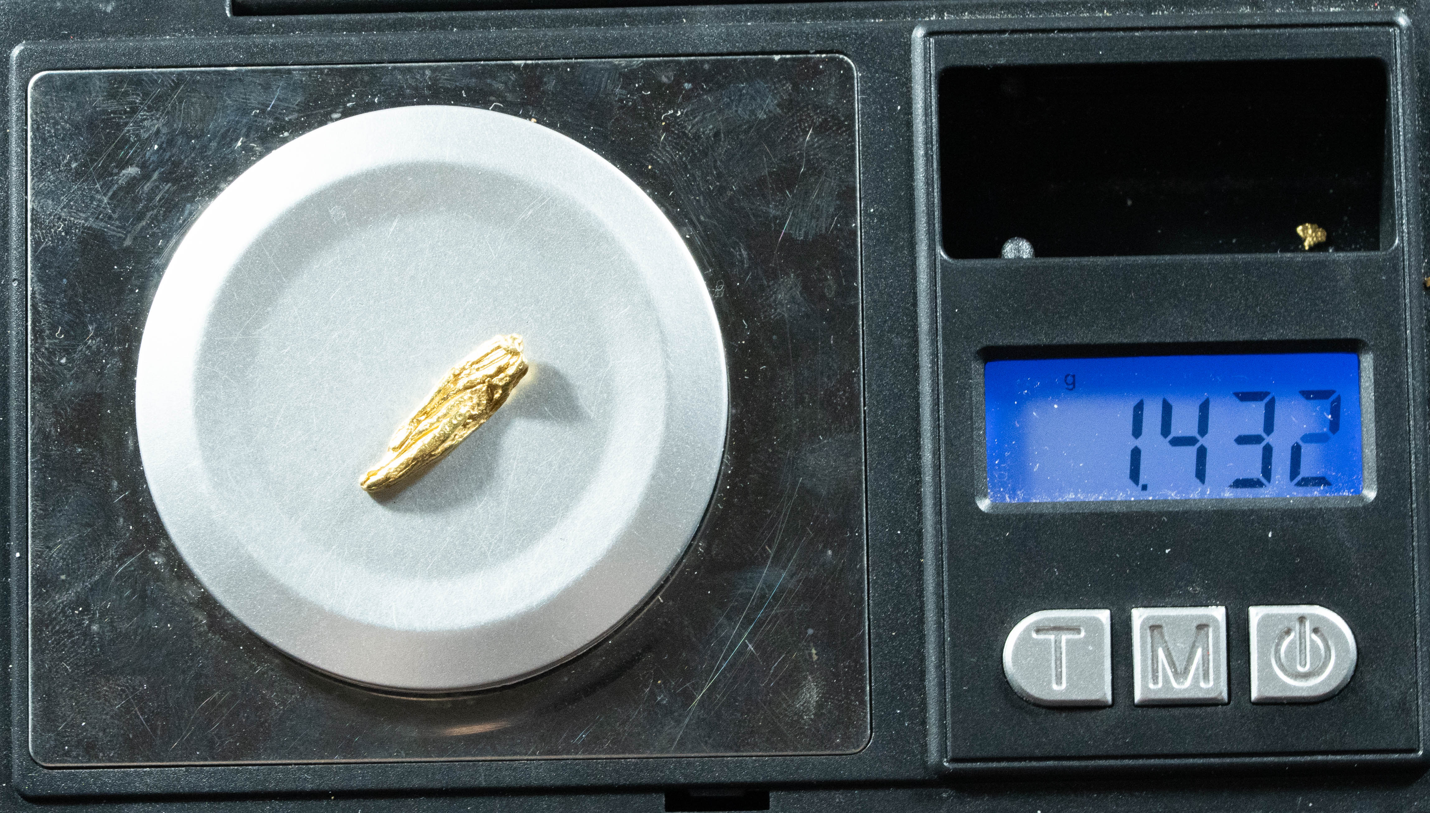 L-51 Exotic Dendritic Alaskan BC Natural Gold Nugget 1.43 Grams Genuine