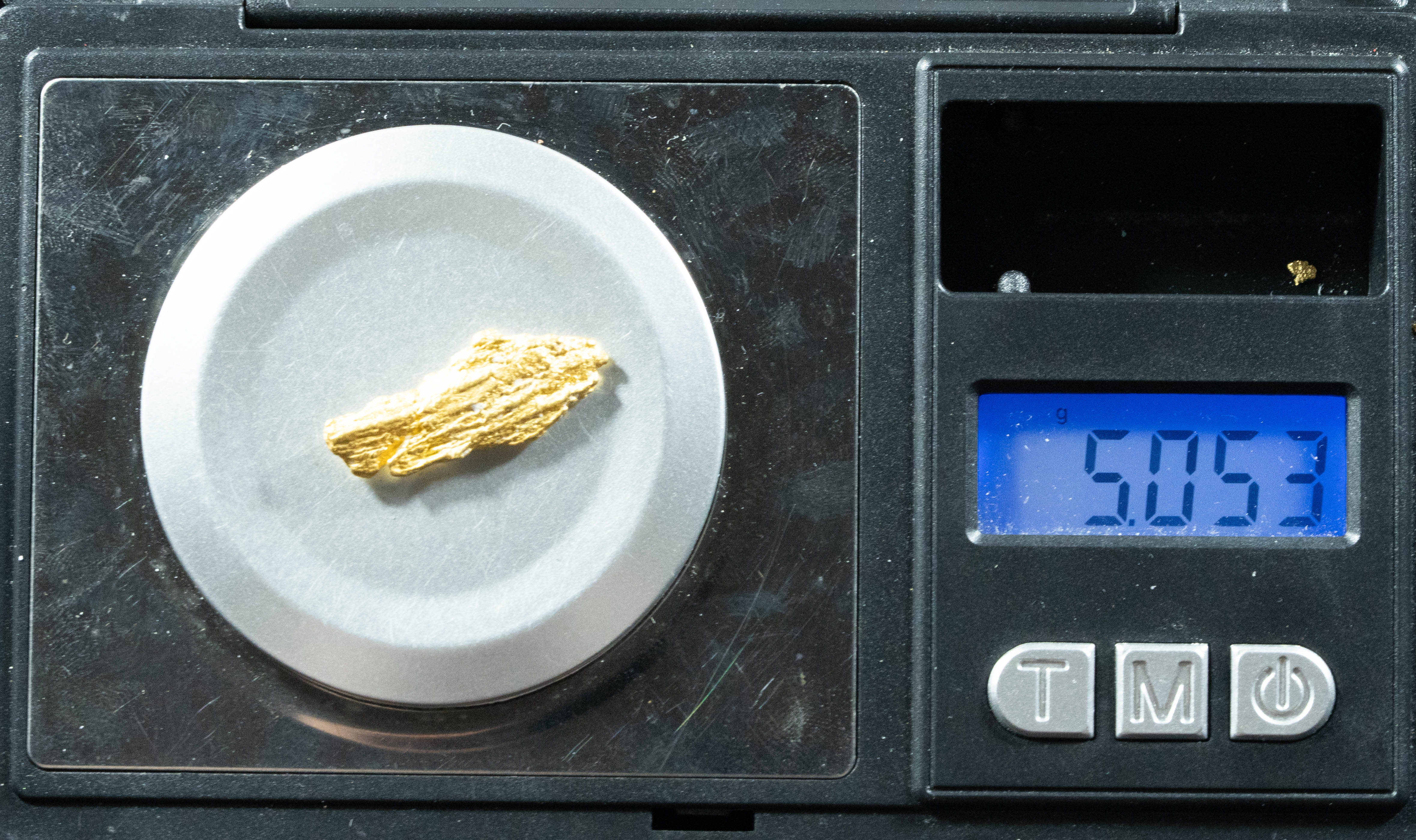 L-52 Exotic Dendritic Alaskan BC Natural Gold Nugget 5.05 Grams Genuine