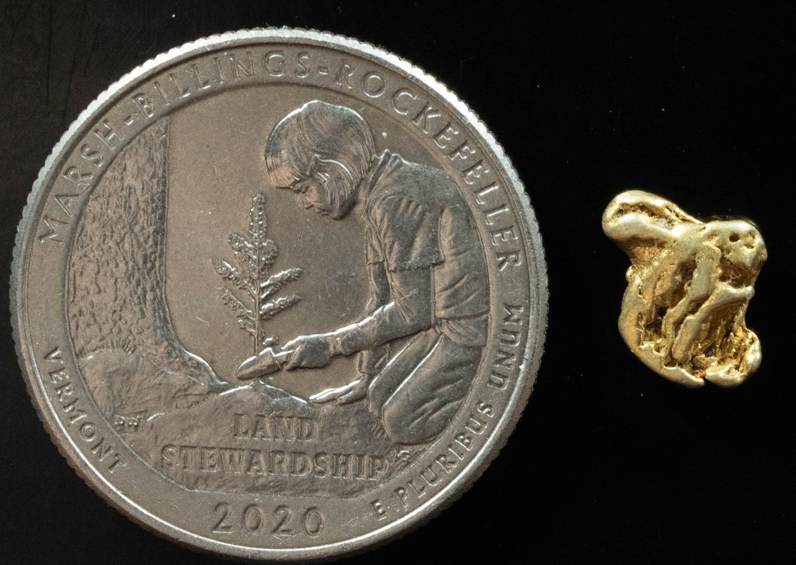 L-53 Exotic Dendritic Alaskan BC Natural Gold Nugget .68 Grams Genuine