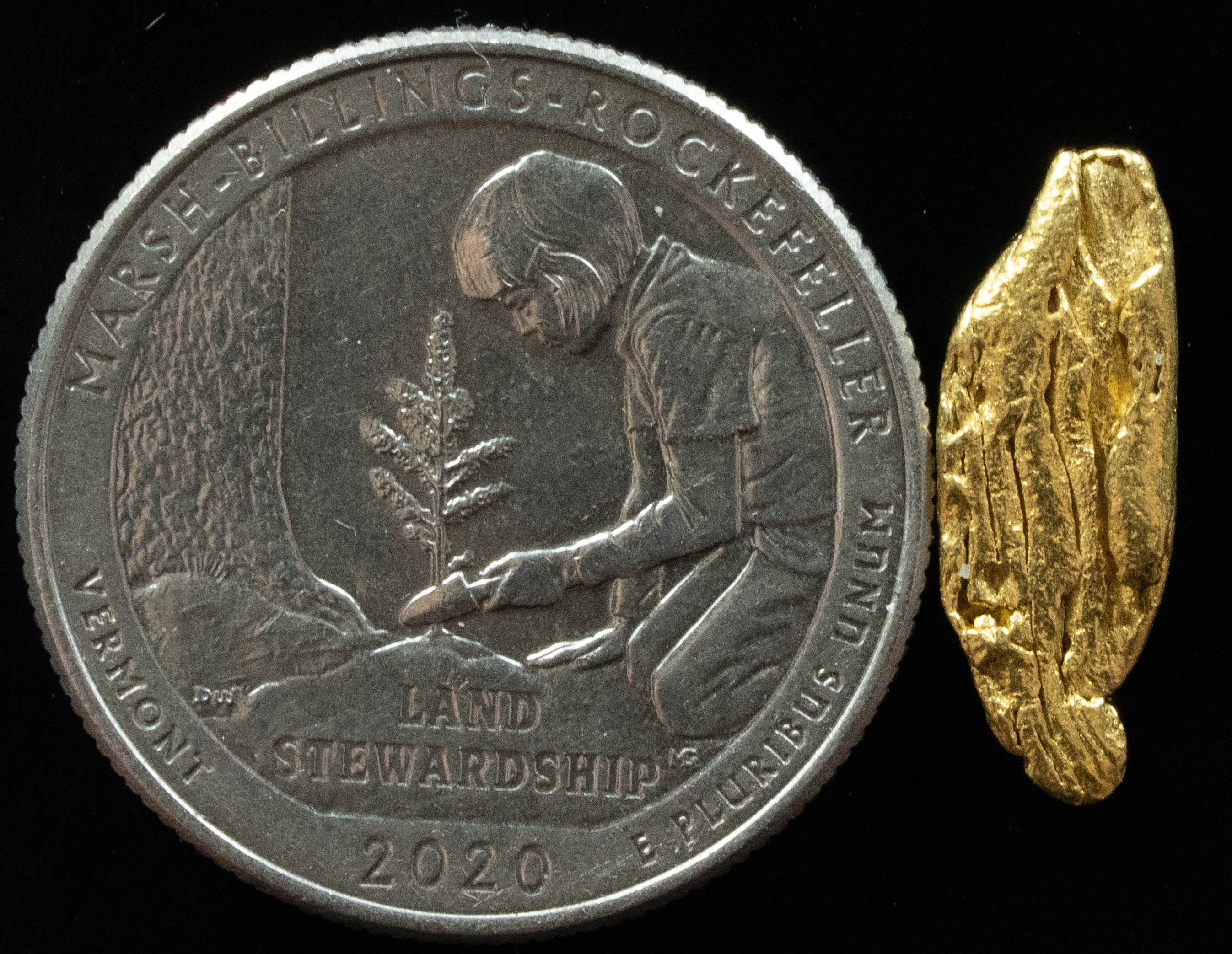 L-55 Exotic Dendritic Alaskan BC Natural Gold Nugget 1.22 Grams Genuine