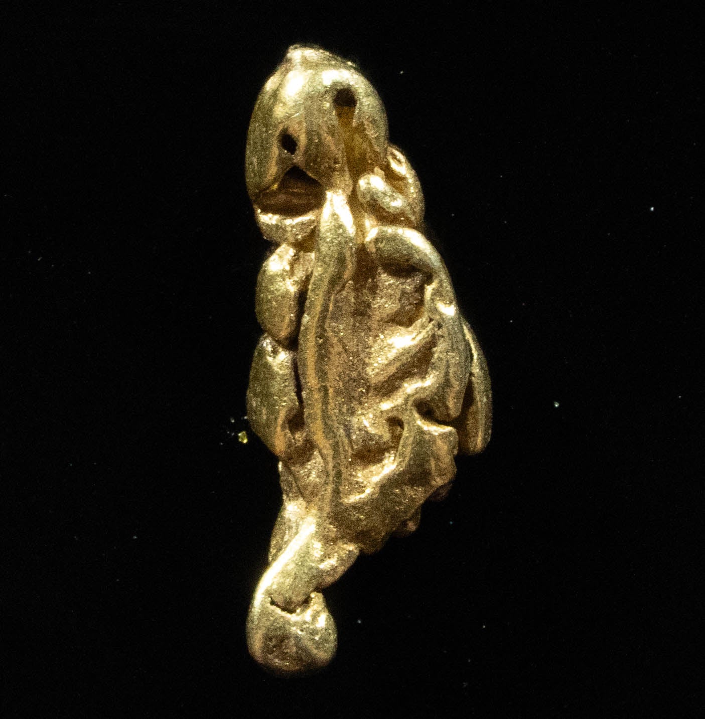 L-56 Exotic Dendritic Alaskan BC Natural Gold Nugget .73 Grams Genuine