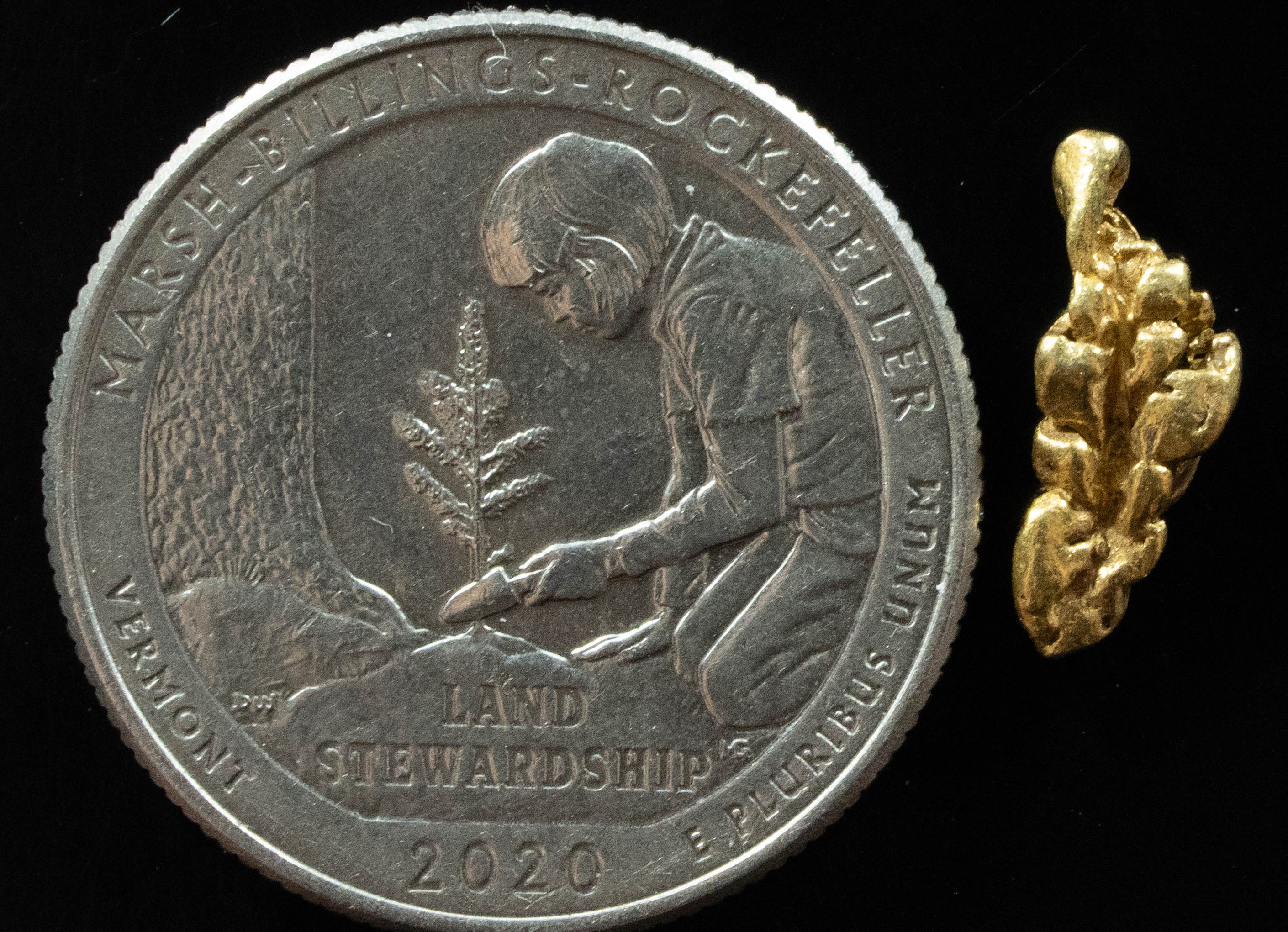 L-56 Exotic Dendritic Alaskan BC Natural Gold Nugget .73 Grams Genuine