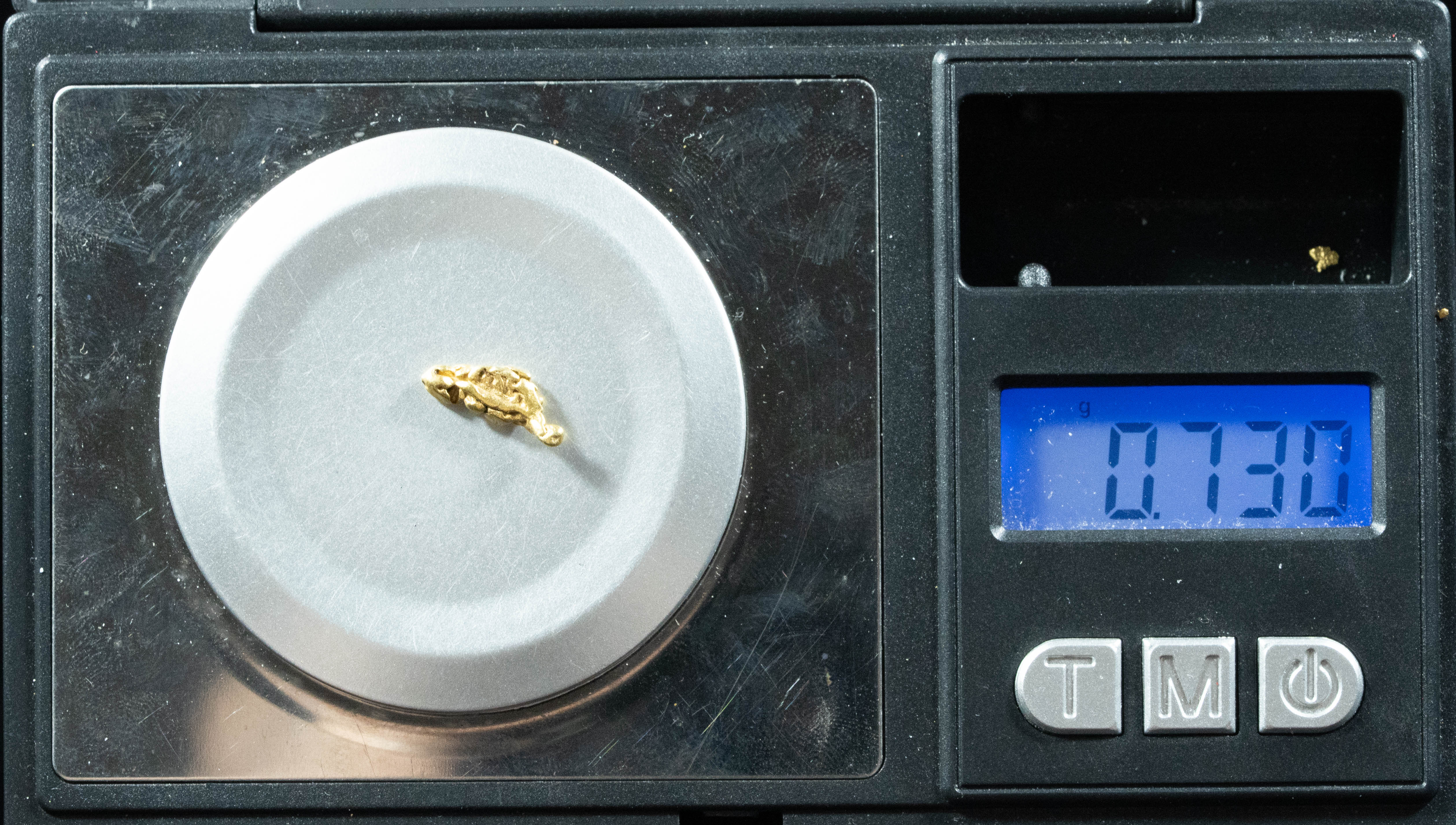 L-56 Exotic Dendritic Alaskan BC Natural Gold Nugget .73 Grams Genuine