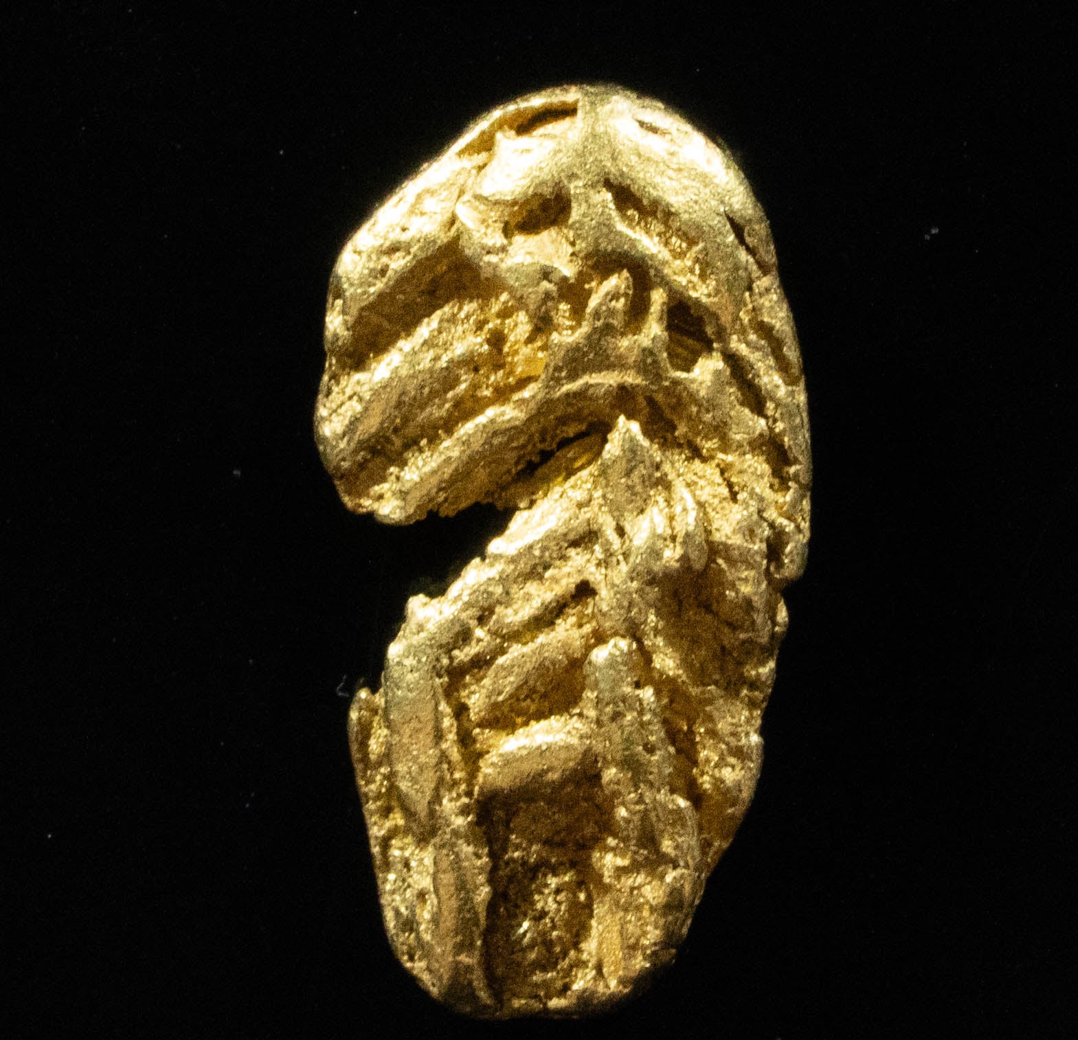 L-57 Exotic Dendritic Alaskan BC Natural Gold Nugget 1.08 Grams Genuine