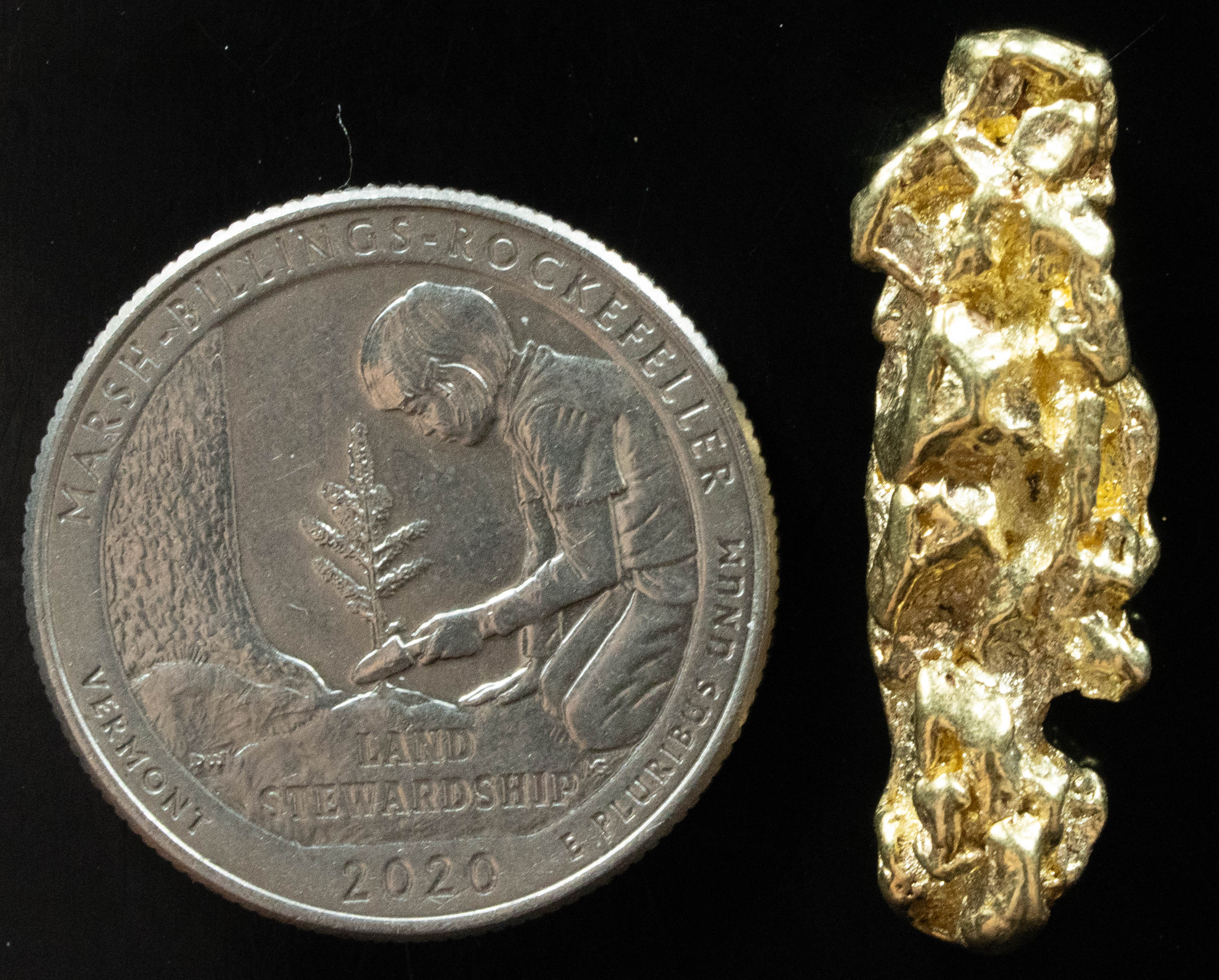L-58 Exotic Dendritic Alaskan BC Natural Gold Nugget 8.30 Grams Genuine