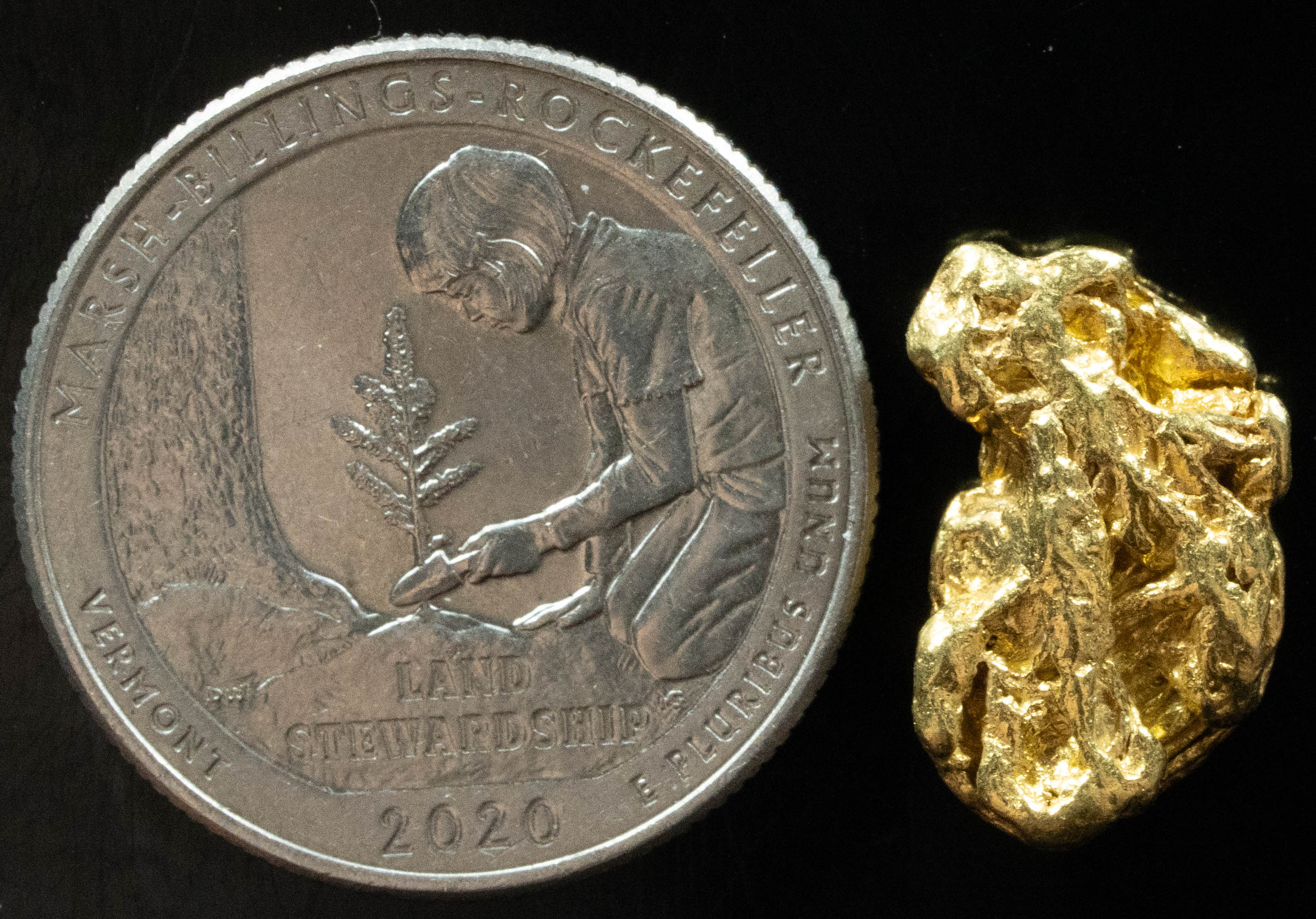 L-59 Exotic Dendritic Alaskan BC Natural Gold Nugget 4.92 Grams Genuine