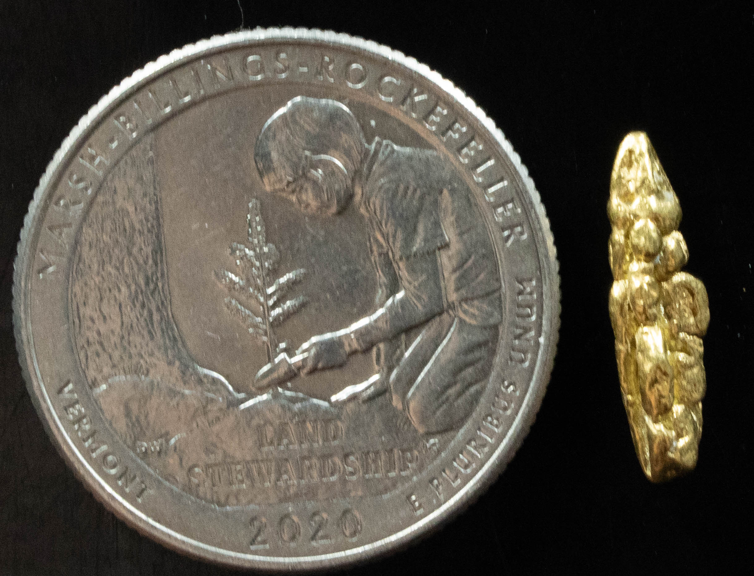 L-60 Exotic Dendritic Alaskan BC Natural Gold Nugget 1.24 Grams Genuine