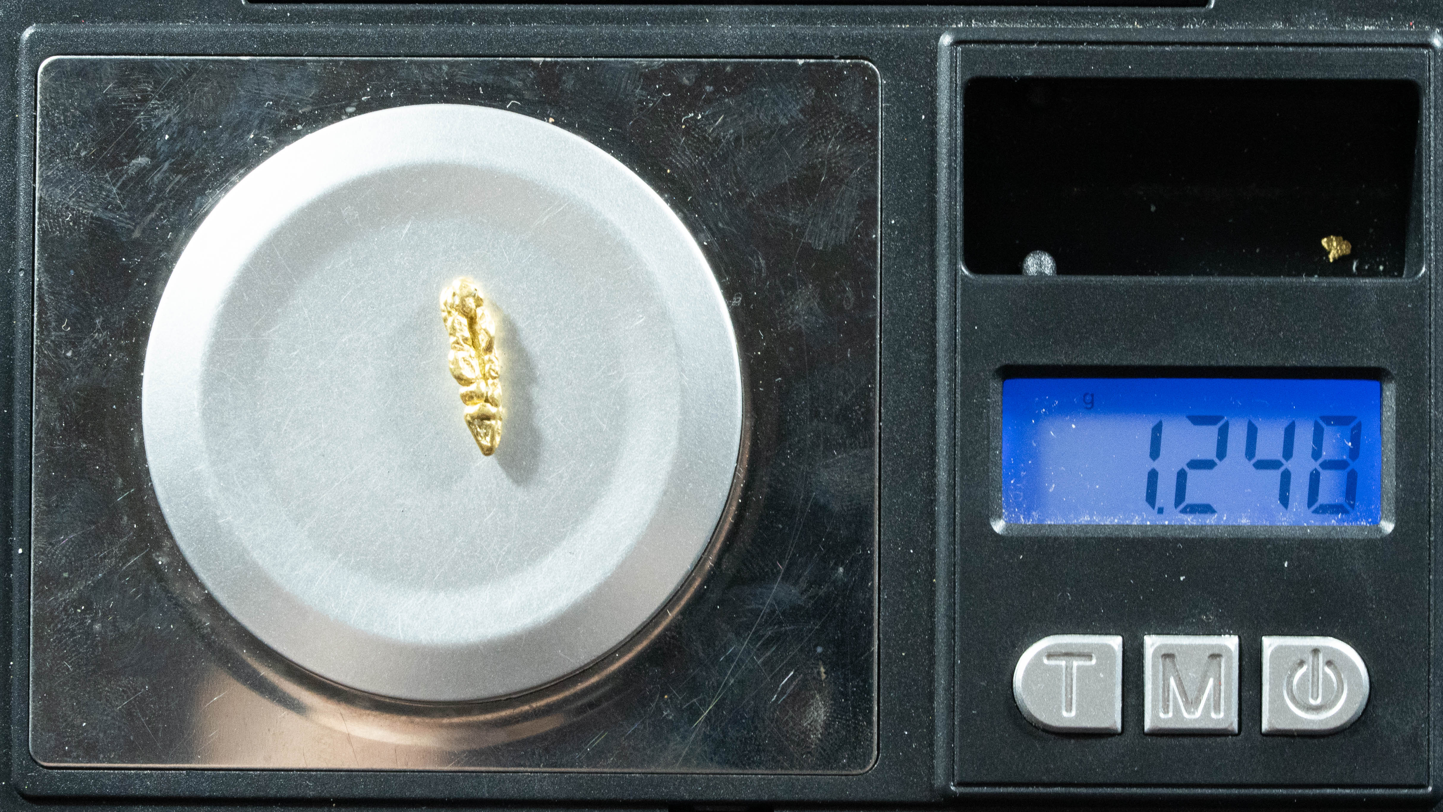 L-60 Exotic Dendritic Alaskan BC Natural Gold Nugget 1.24 Grams Genuine
