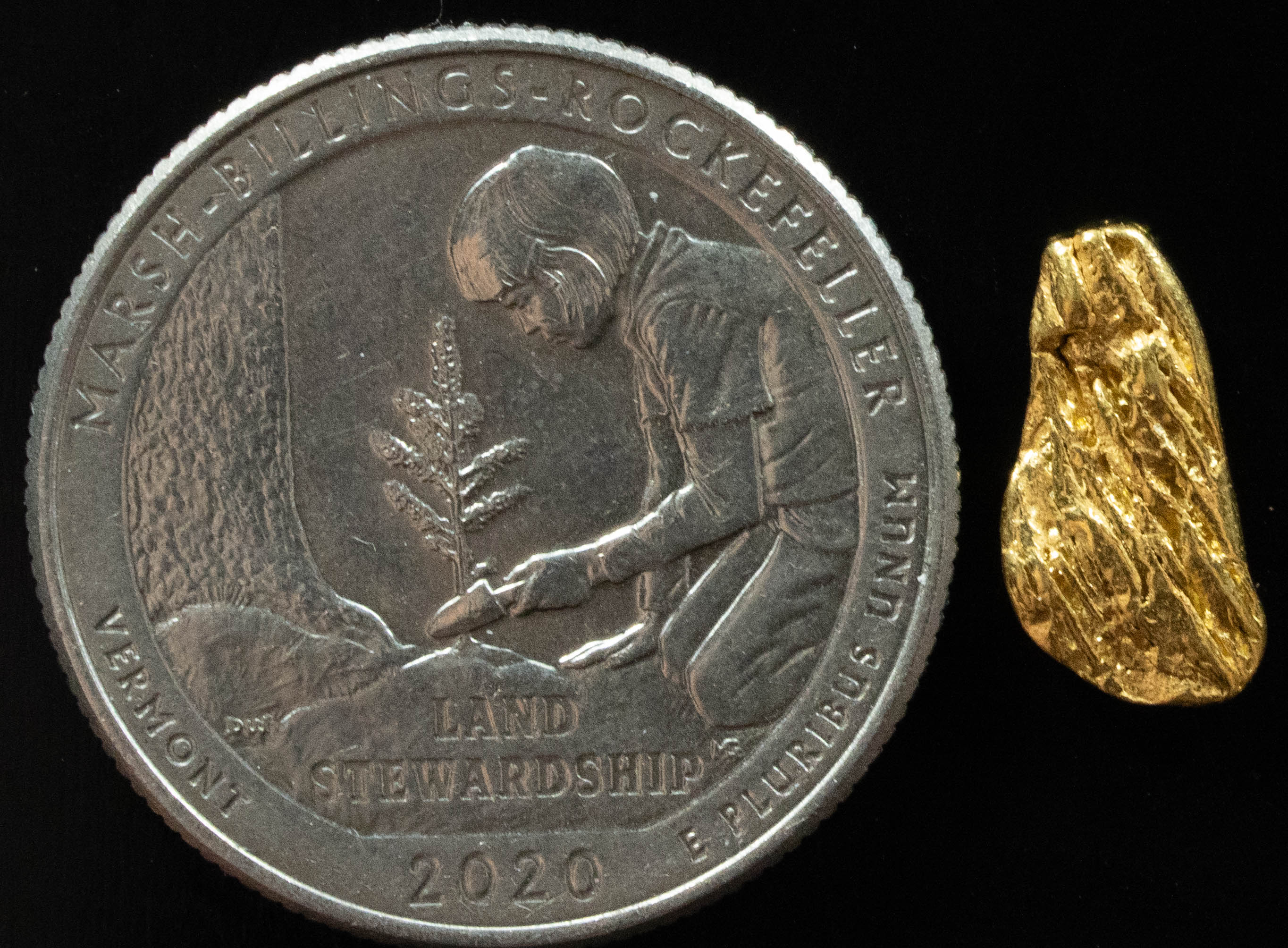 L-61 Exotic Dendritic Alaskan BC Natural Gold Nugget .76 Grams Genuine