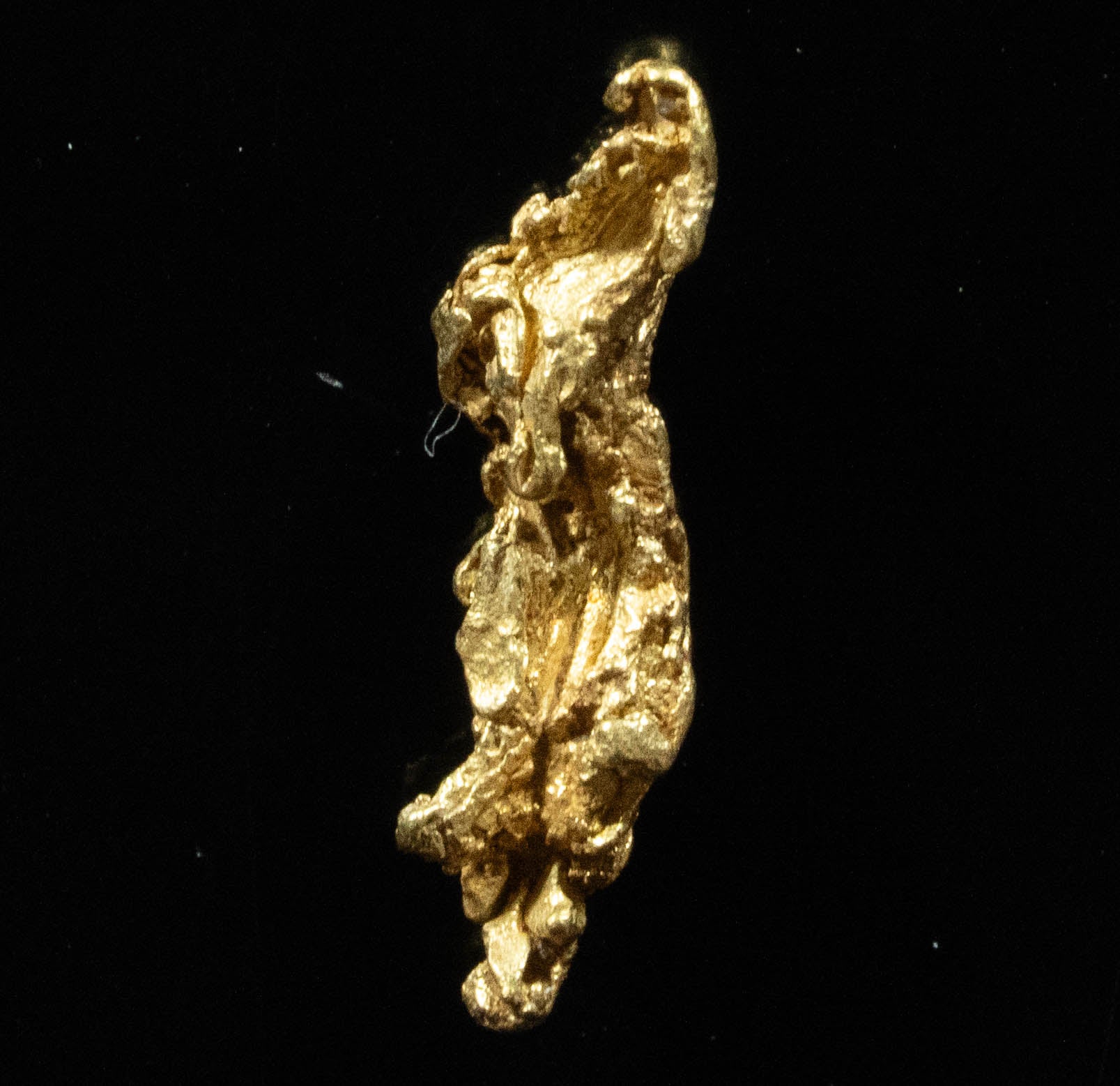 L-62 Exotic Dendritic Alaskan BC Natural Gold Nugget .774 Grams Genuine