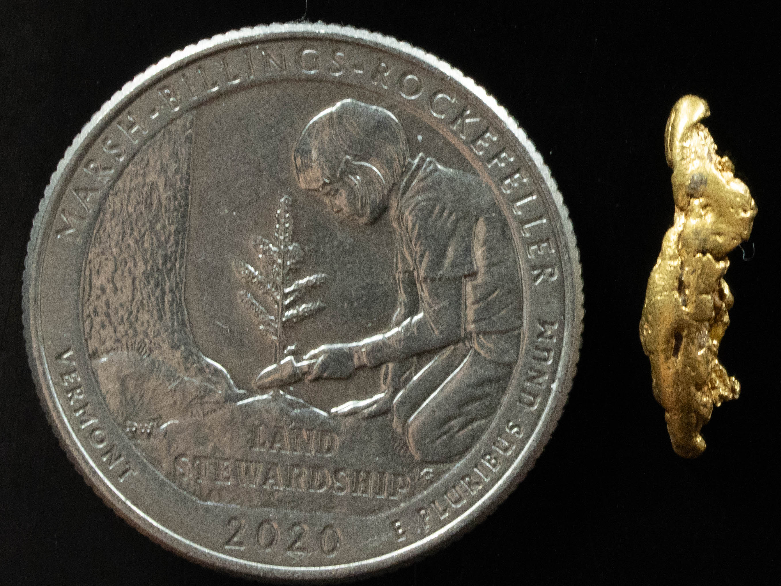 L-62 Exotic Dendritic Alaskan BC Natural Gold Nugget .774 Grams Genuine