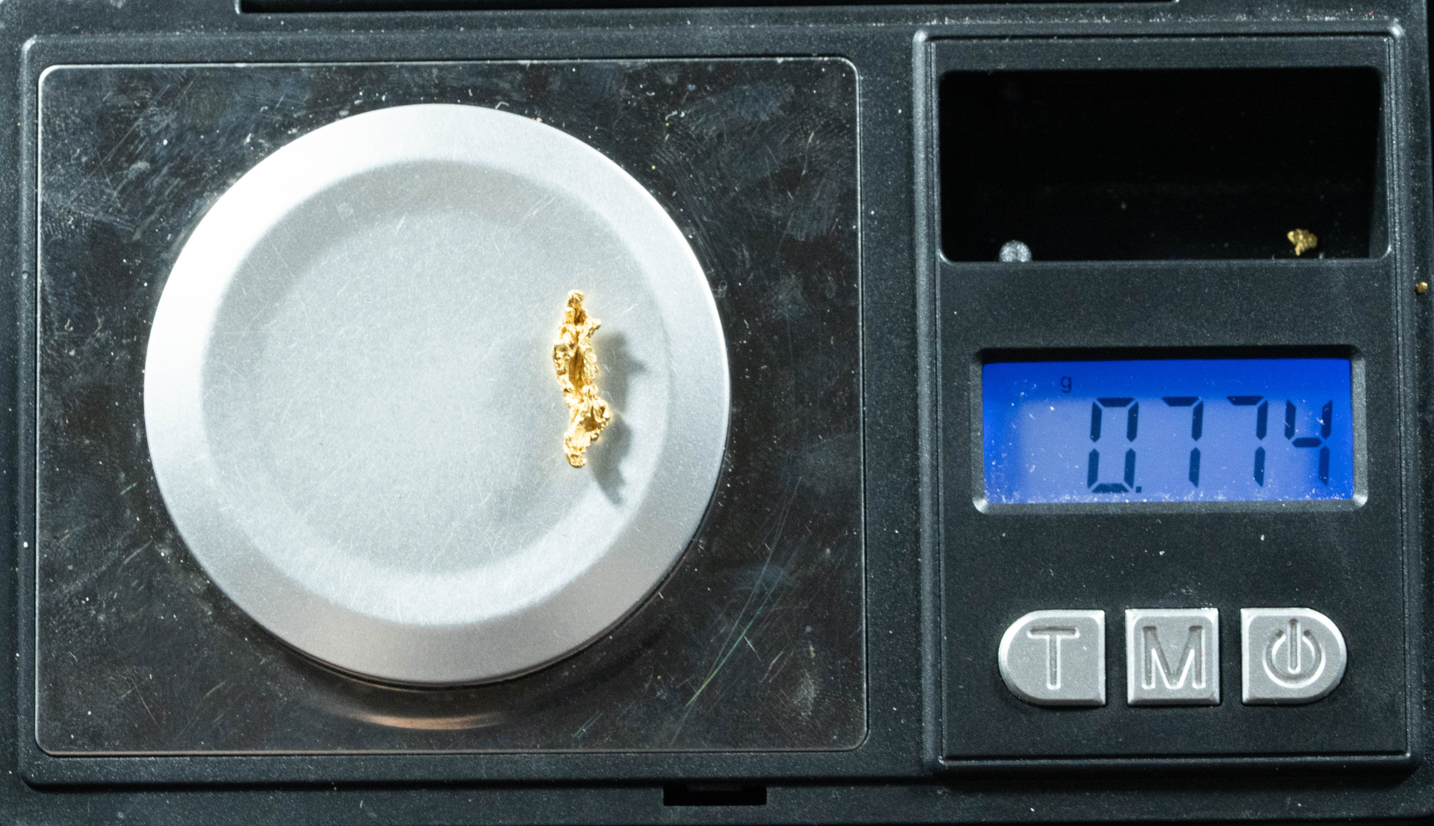 L-62 Exotic Dendritic Alaskan BC Natural Gold Nugget .774 Grams Genuine