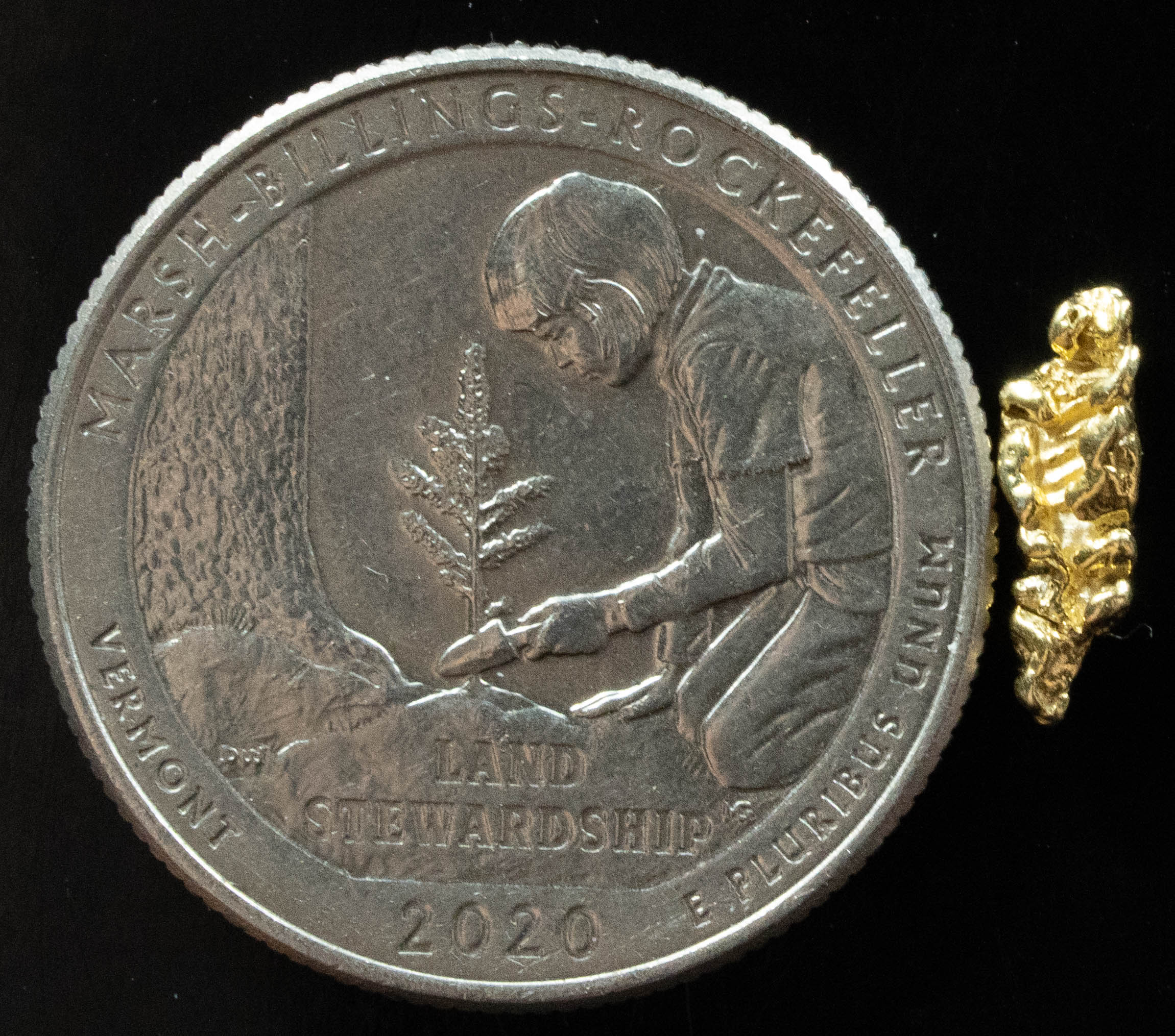 L-63 Exotic Dendritic Alaskan BC Natural Gold Nugget .456 Grams Genuine