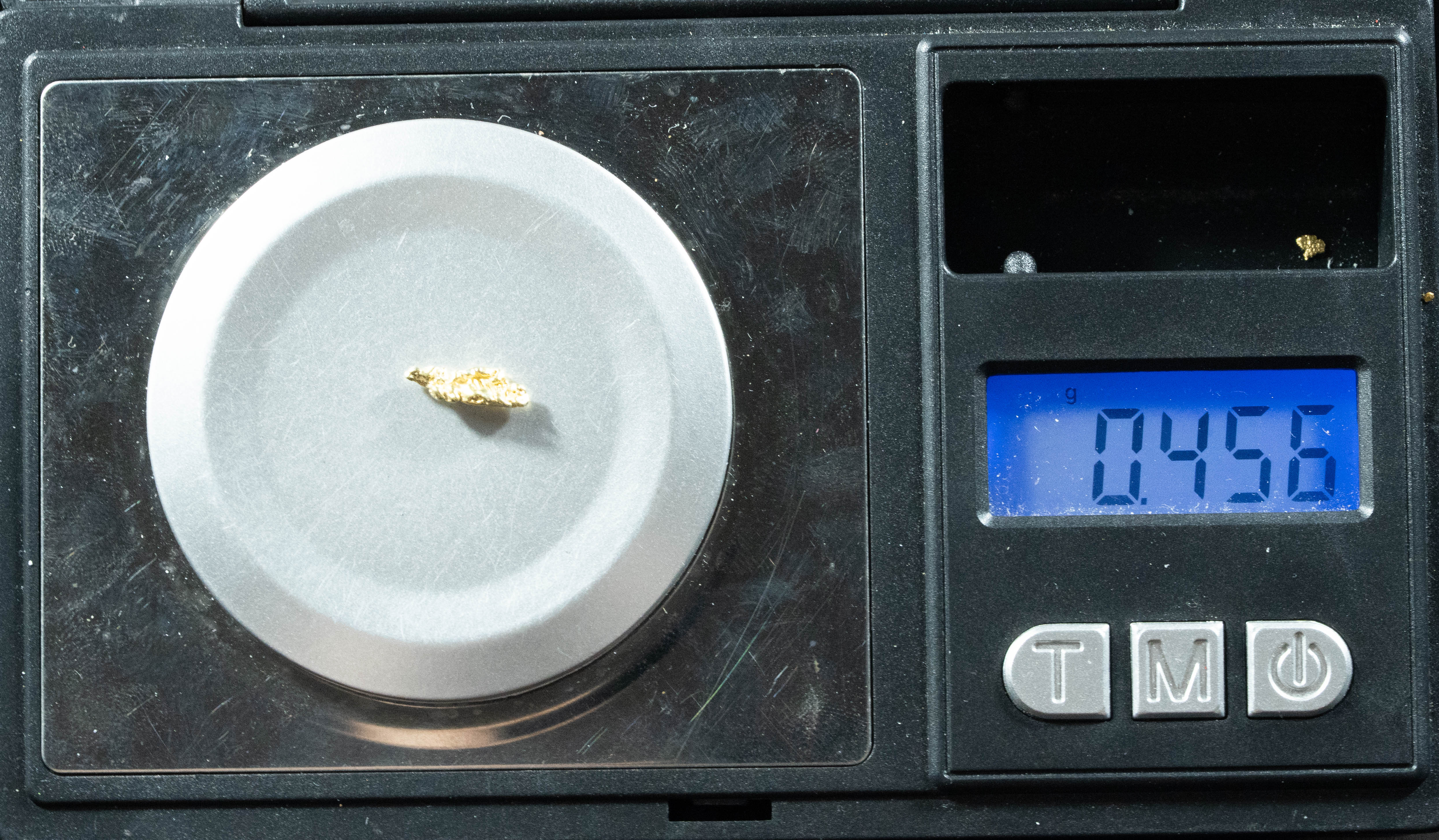 L-63 Exotic Dendritic Alaskan BC Natural Gold Nugget .456 Grams Genuine
