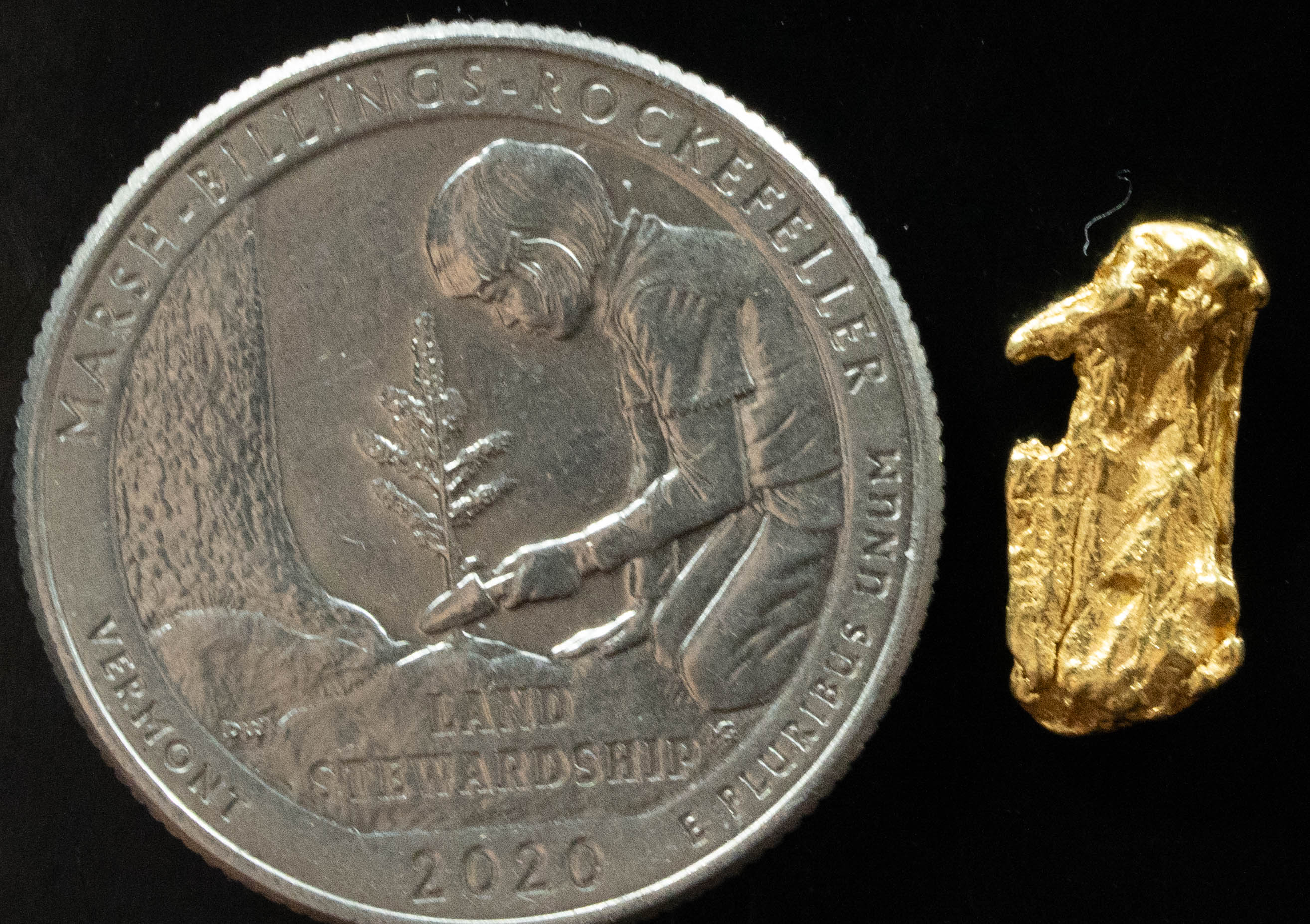 L-64 Exotic Dendritic Alaskan BC Natural Gold Nugget 1.05 Grams Genuine