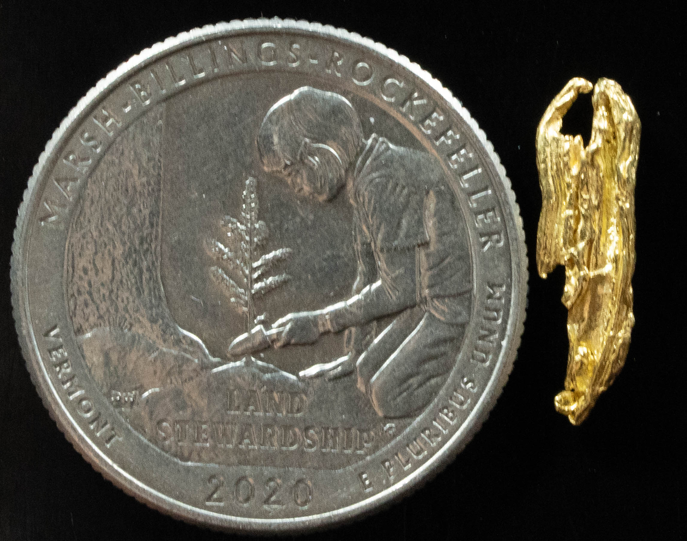 L-65 Exotic Dendritic Alaskan BC Natural Gold Nugget .526 Grams Genuine