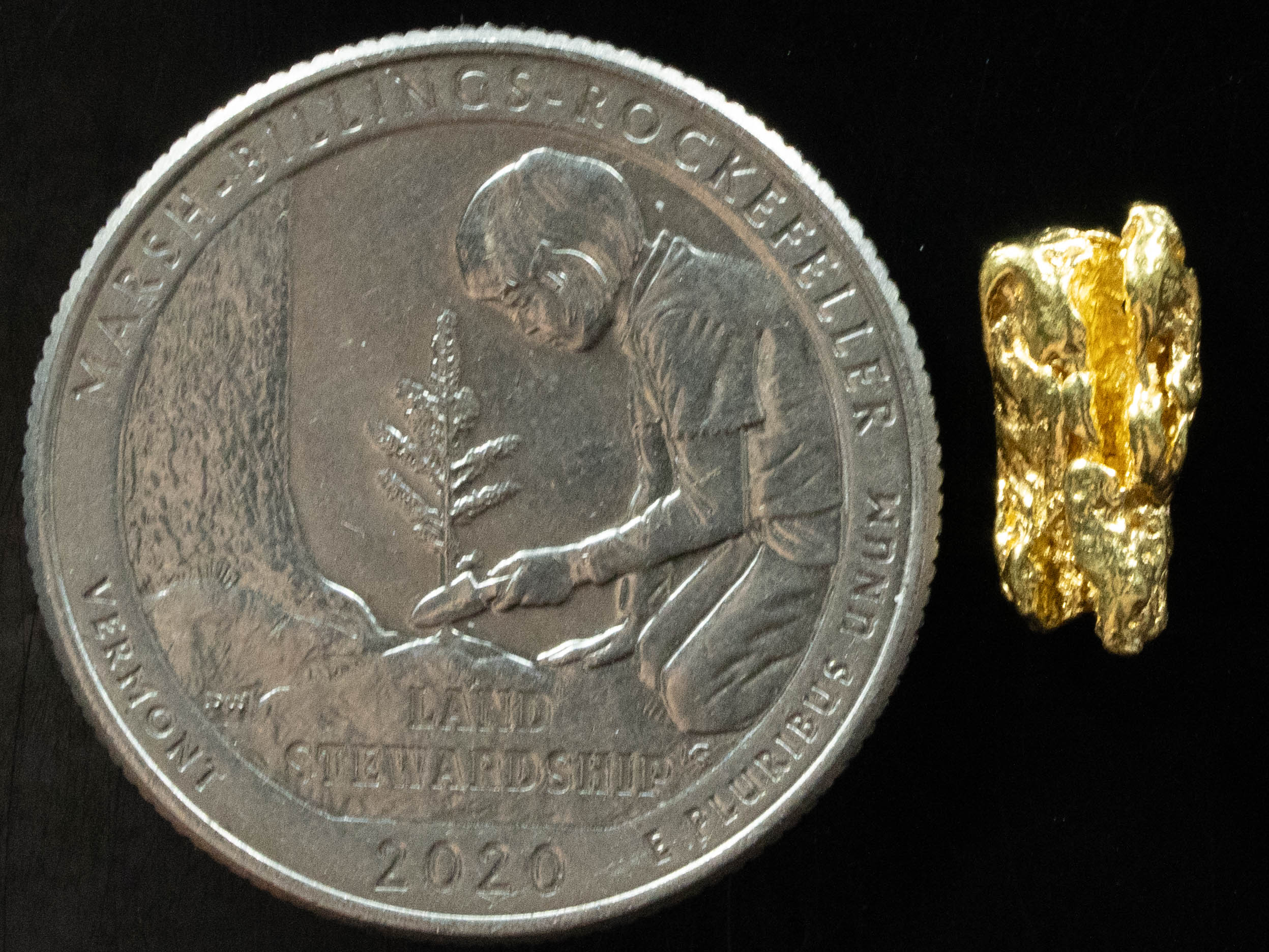 L-66 Exotic Dendritic Alaskan BC Natural Gold Nugget 1.02 Grams Genuine