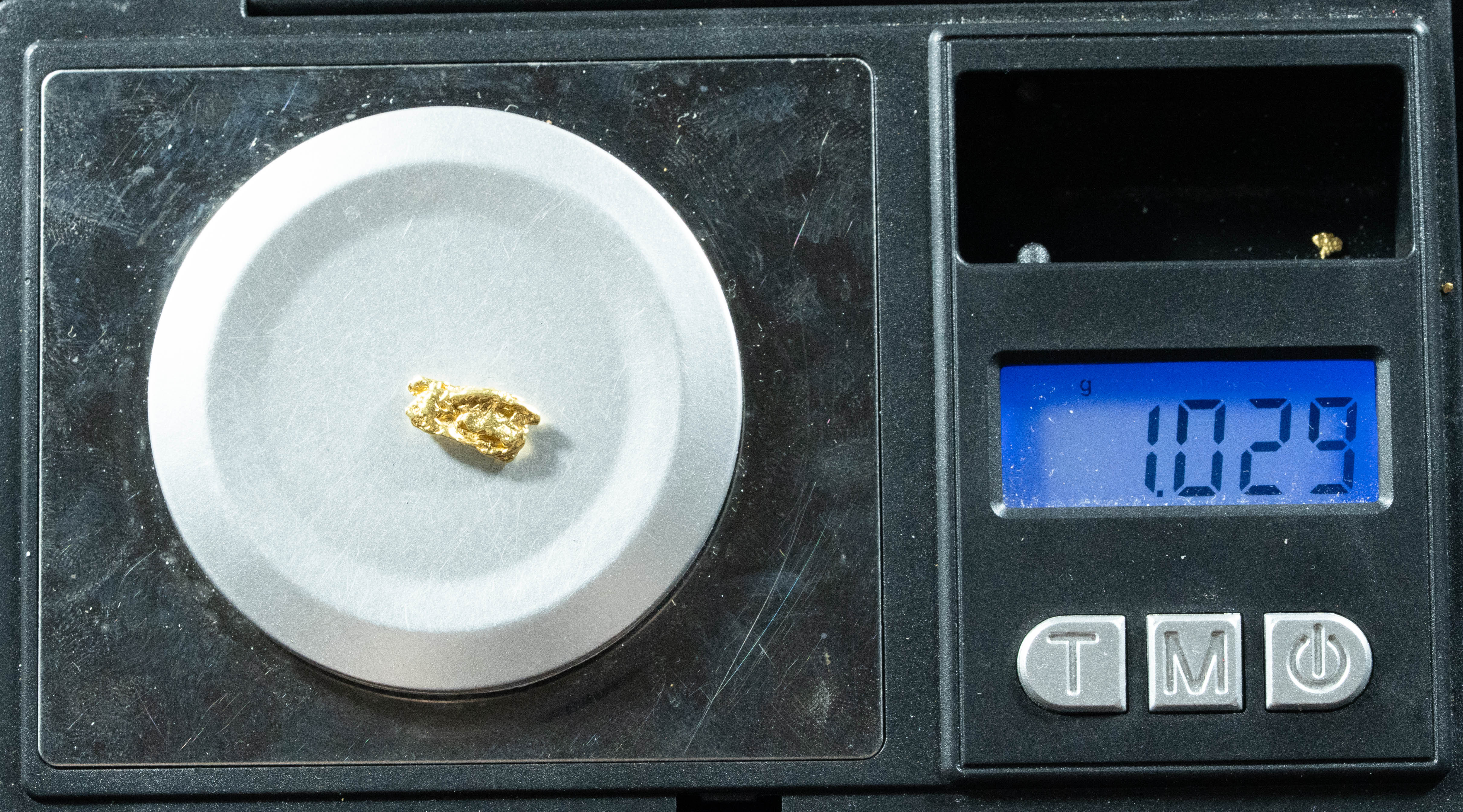 L-66 Exotic Dendritic Alaskan BC Natural Gold Nugget 1.02 Grams Genuine