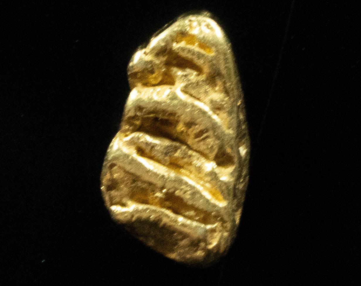 L-67 Exotic Dendritic Alaskan BC Natural Gold Nugget .896 Grams Genuine