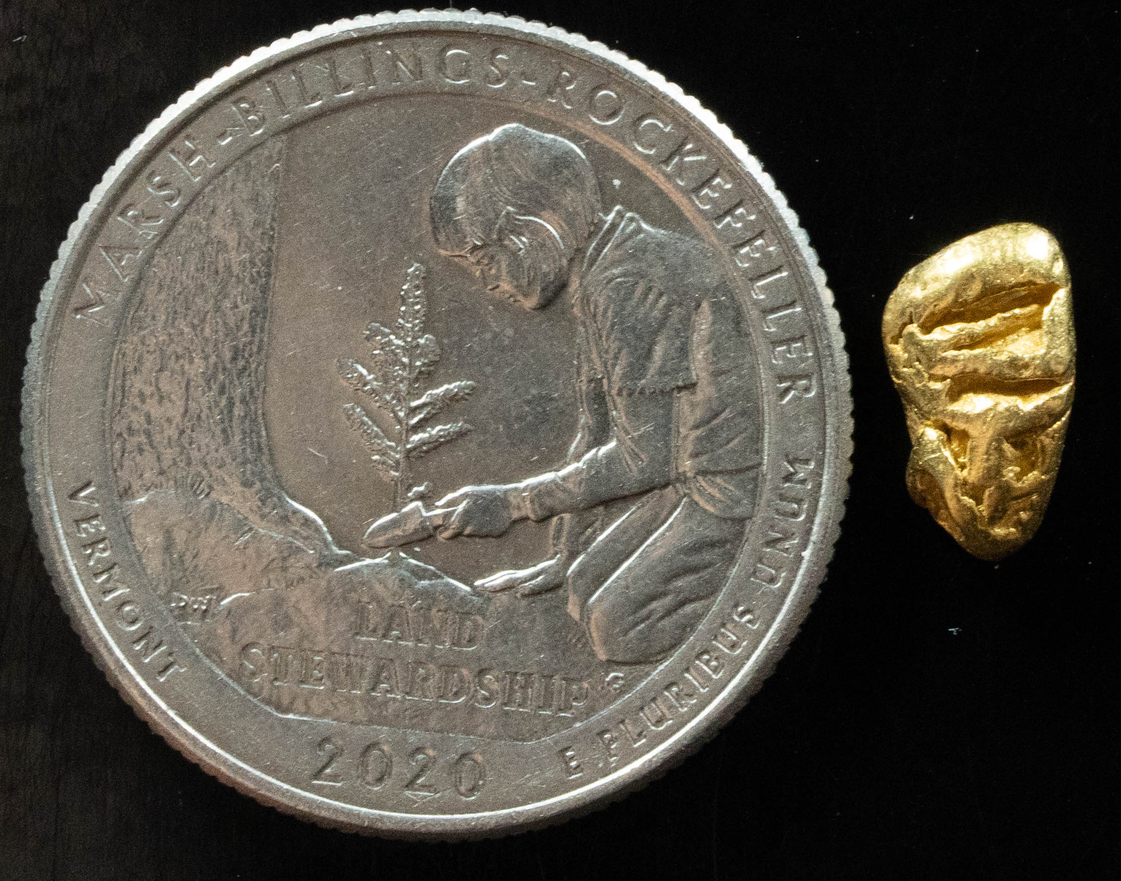 L-67 Exotic Dendritic Alaskan BC Natural Gold Nugget .896 Grams Genuine