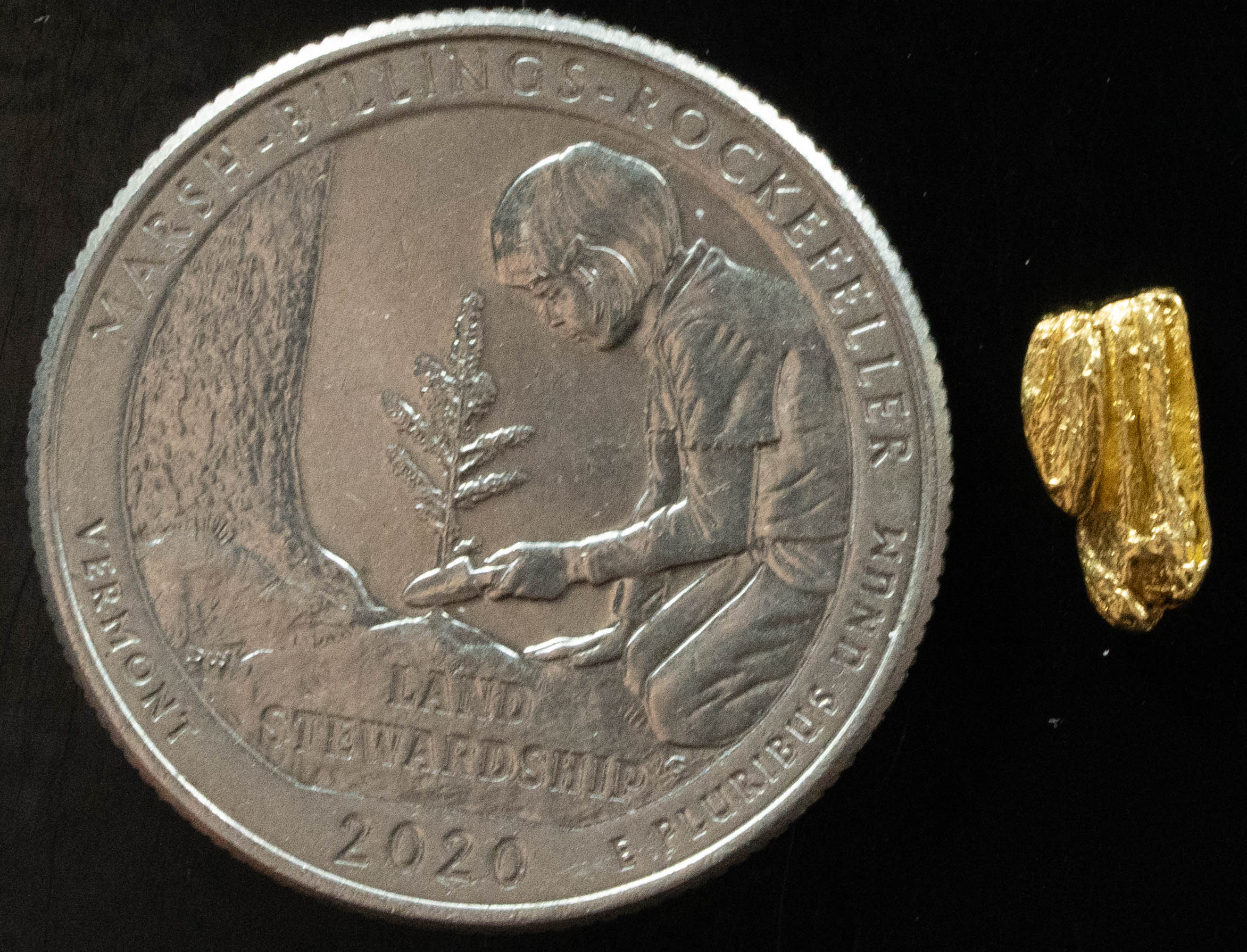 L-68 Exotic Dendritic Alaskan BC Natural Gold Nugget .433 Grams Genuine