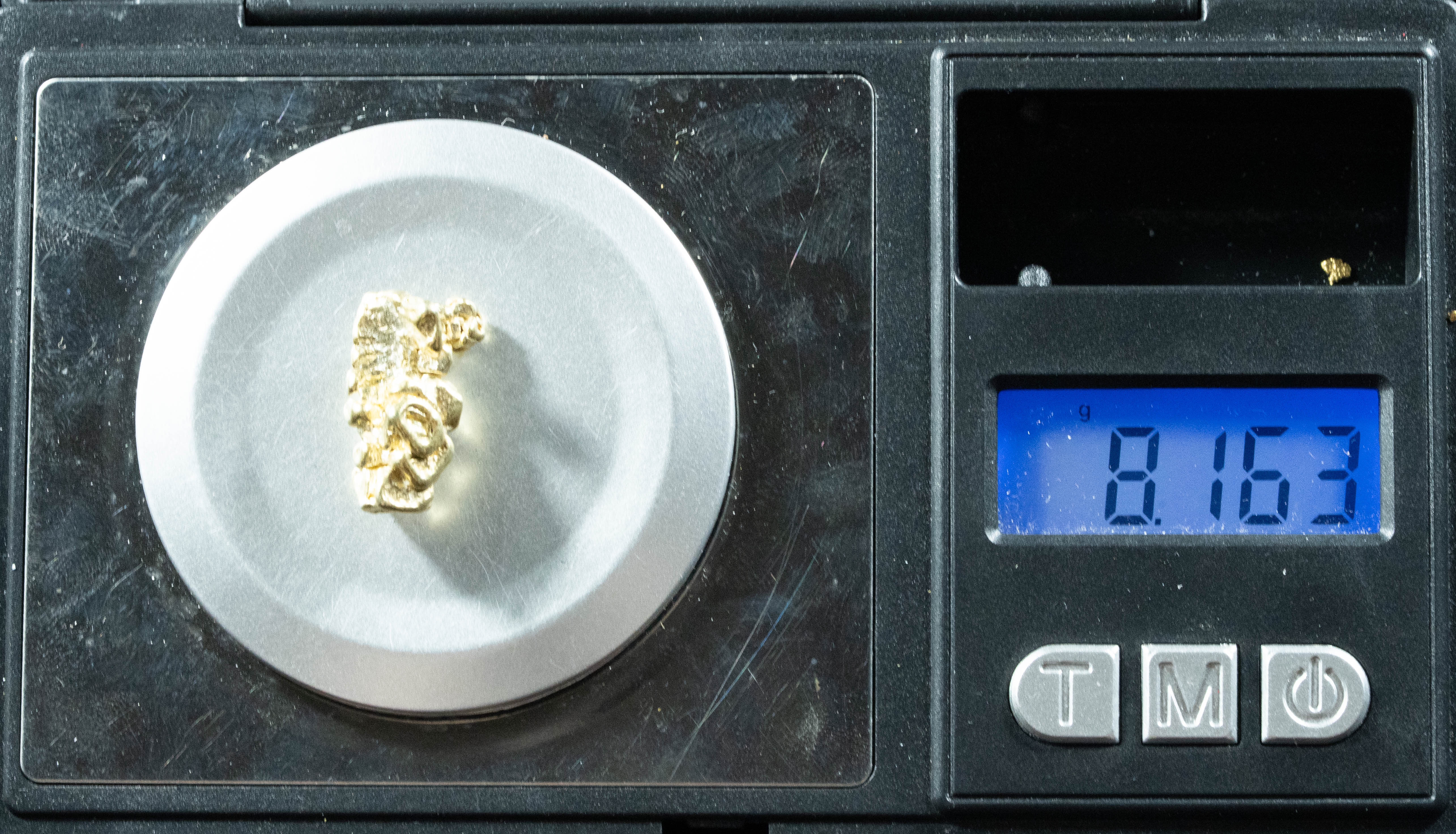 L-69 Exotic Dendritic Alaskan BC Natural Gold Nugget 8.16 Grams Genuine