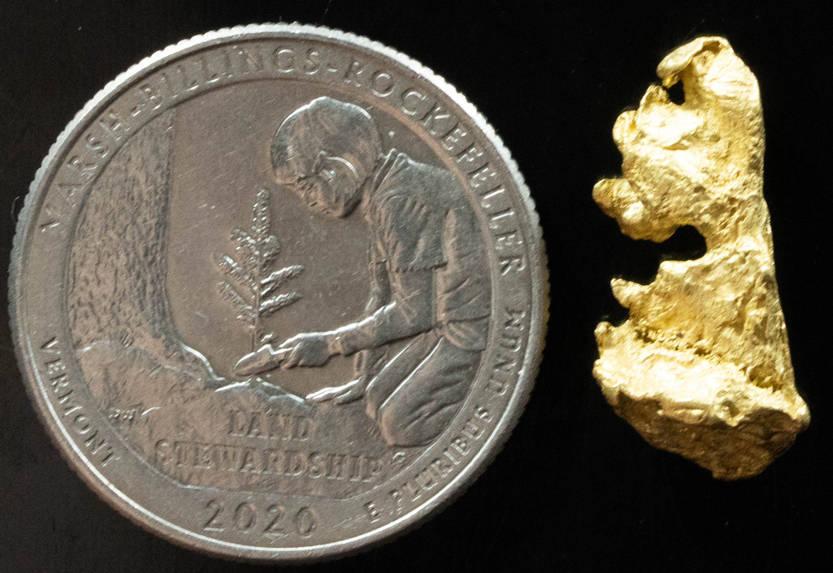 L-73 Exotic Dendritic Alaskan BC Natural Gold Nugget 3.76 Grams Genuine